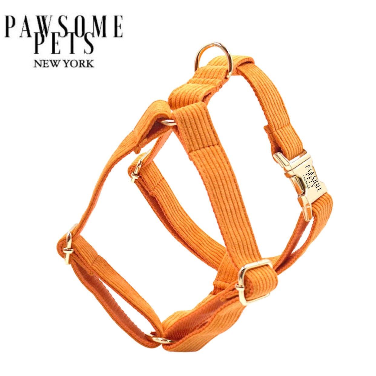 Pawsome Pets New York Szelki step-in - Pomarańczowy — Obroże, smycze i szelki — photo 2