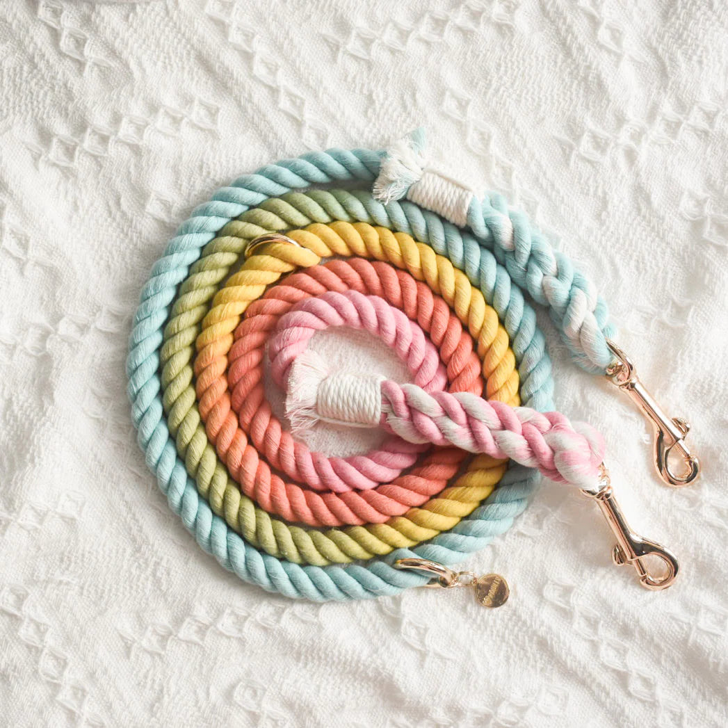 Pawsome Pets New York Smycz linowa - Sweet lollie — Obroże, smycze i szelki — photo 4
