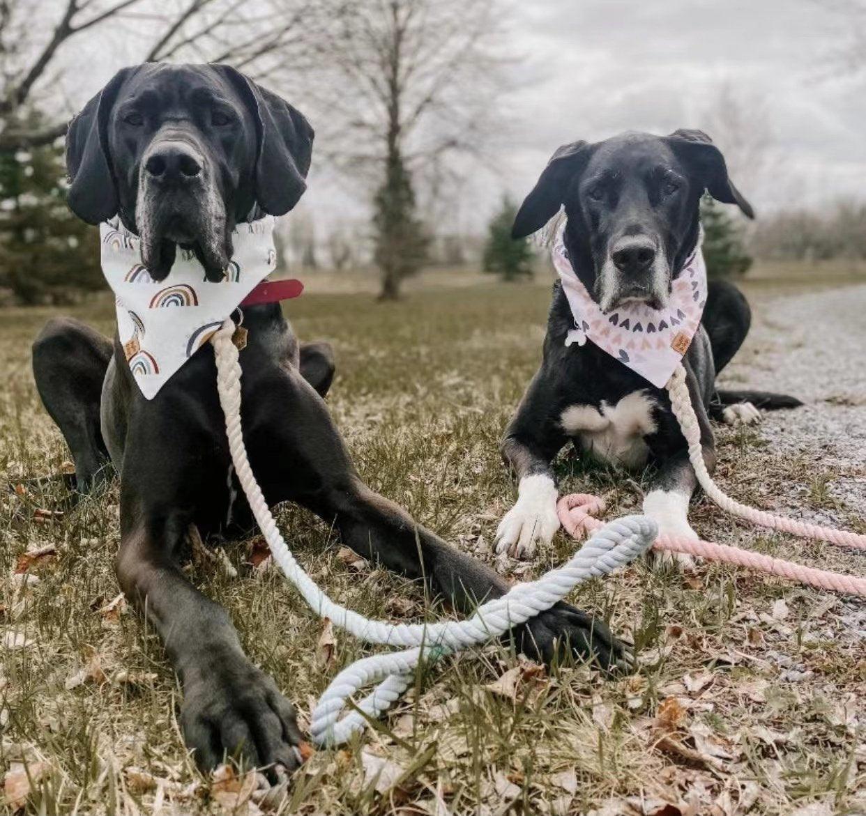 Pawsome Pets New York Smycz linowa dla psa - Arbuzowa czerwień — Obroże, smycze i szelki — photo 6