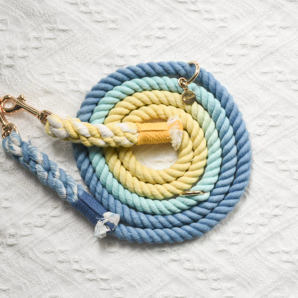Pawsome Pets New York Laisse mains libres en corde pour chien - Dawn — Colliers, laisses et harnais — photo 3