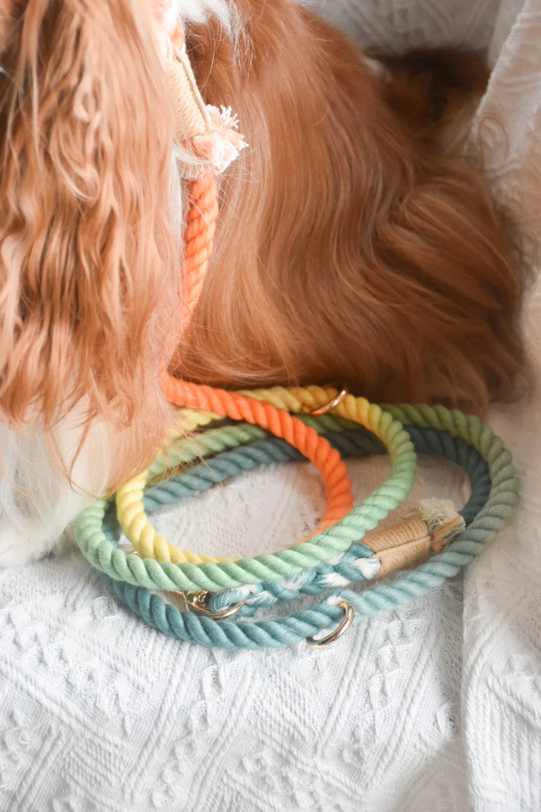 Pawsome Pets New York Smycz linowa typu hands-free dla psa - Forest shade — Obroże, smycze i szelki — photo 3
