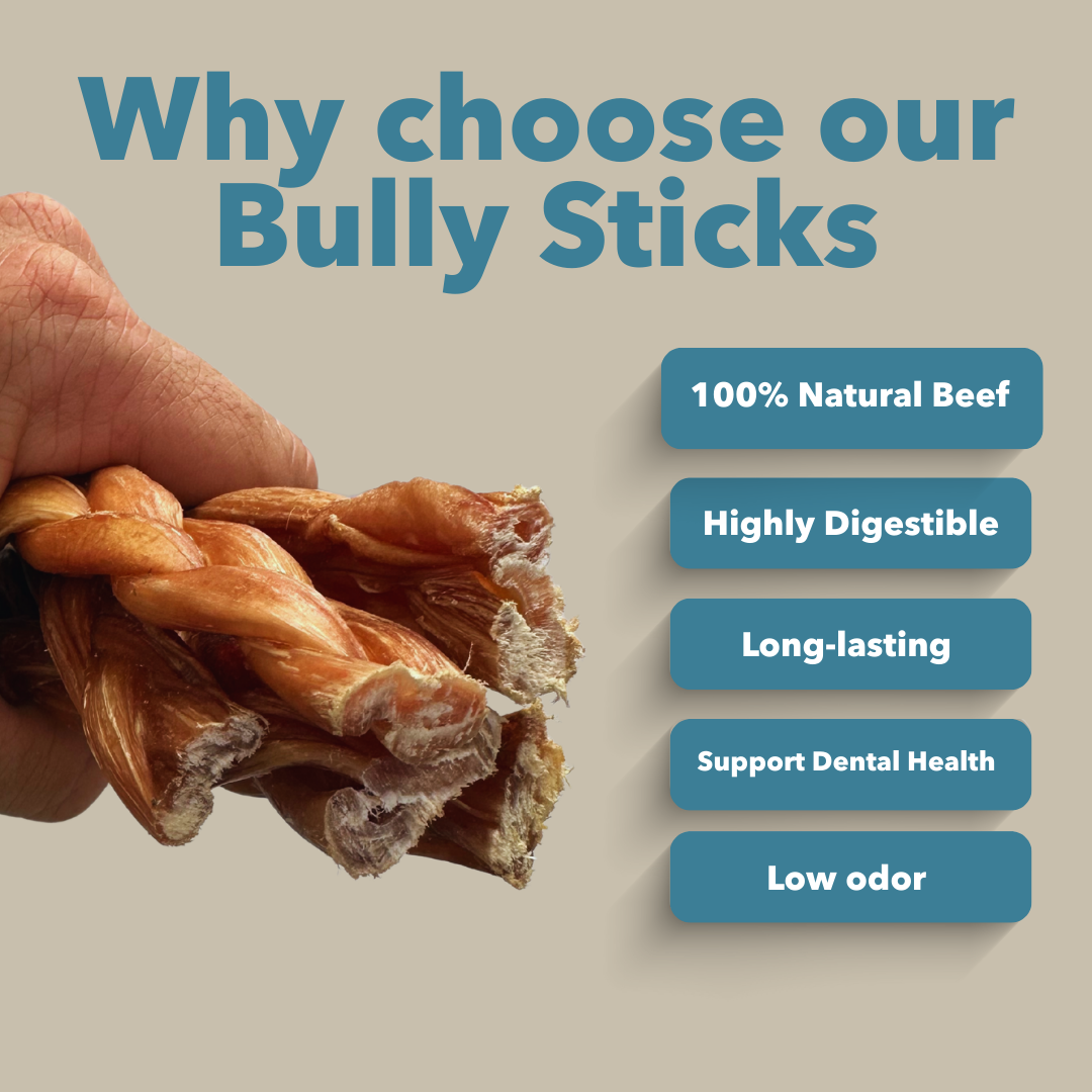 Classic Pet Chewz Bully sticks tressés fins en vrac 6" — Friandises et os à mâcher — photo 4