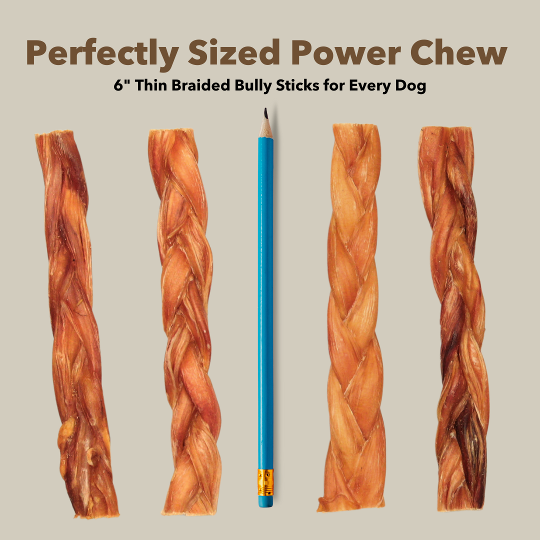 Classic Pet Chewz Bully sticks tressés fins en vrac 6" — Friandises et os à mâcher — photo 6