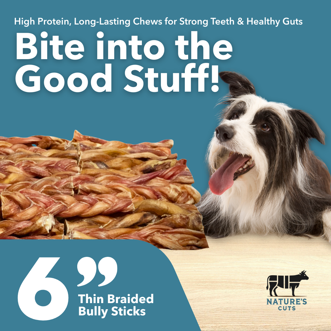 Classic Pet Chewz Bully sticks tressés fins en vrac 6" — Friandises et os à mâcher — photo 3