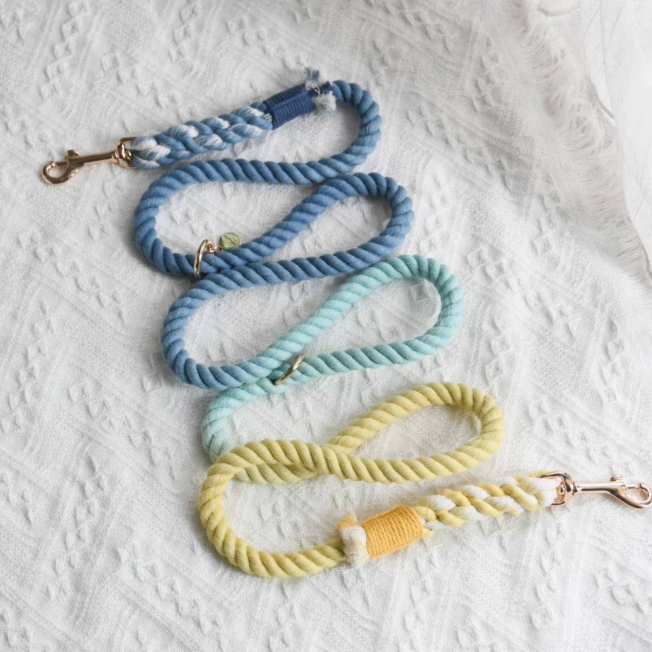 Pawsome Pets New York Laisse mains libres en corde pour chien - Dawn — Colliers, laisses et harnais — photo 2