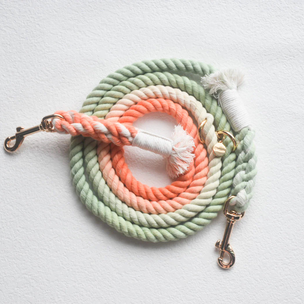 Pawsome Pets New York Laisse en corde pour chien mains libres - Bubble soda — Colliers, laisses et harnais — photo 2
