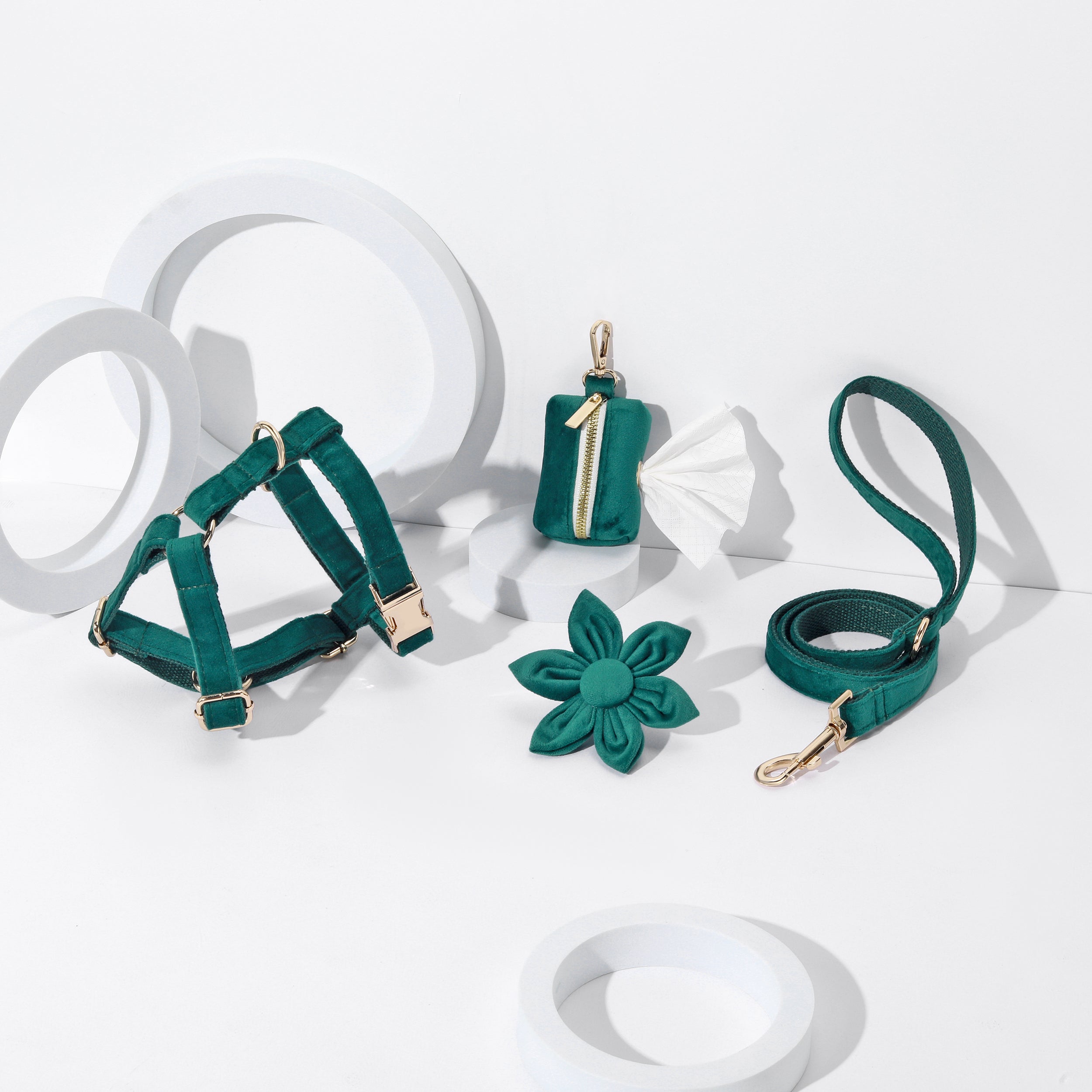Pawsome Pets New York ENSEMBLE FLORAL STEP IN - VERT FONCÉ (4 pièces) — Colliers, laisses et harnais — photo 2