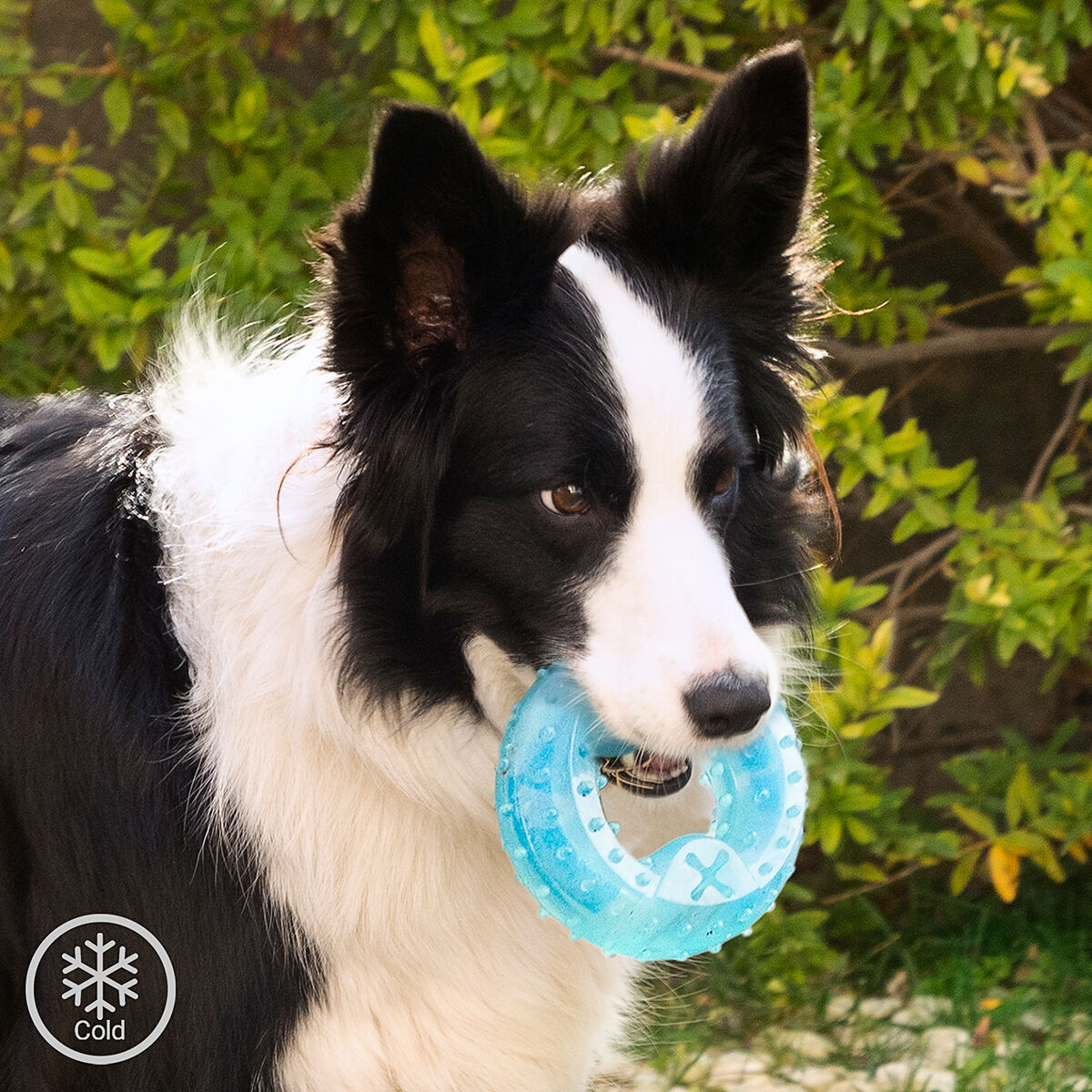 Jouet à mâcher réfrigérable pour animaux Glubiz InnovaGoods 2-en-1 — photo 2