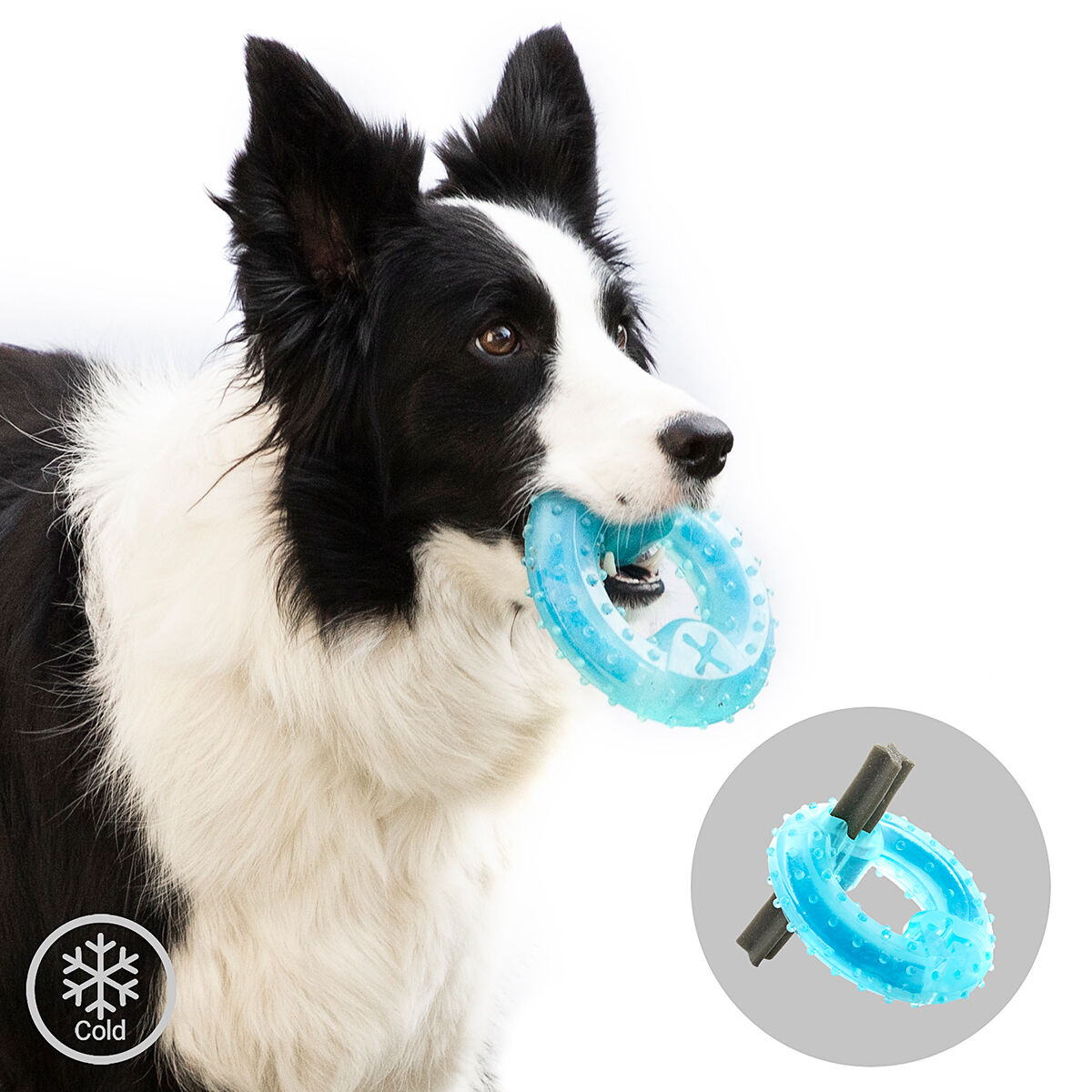 Jouet à mâcher réfrigérable pour animaux Glubiz InnovaGoods 2-en-1 — photo 7