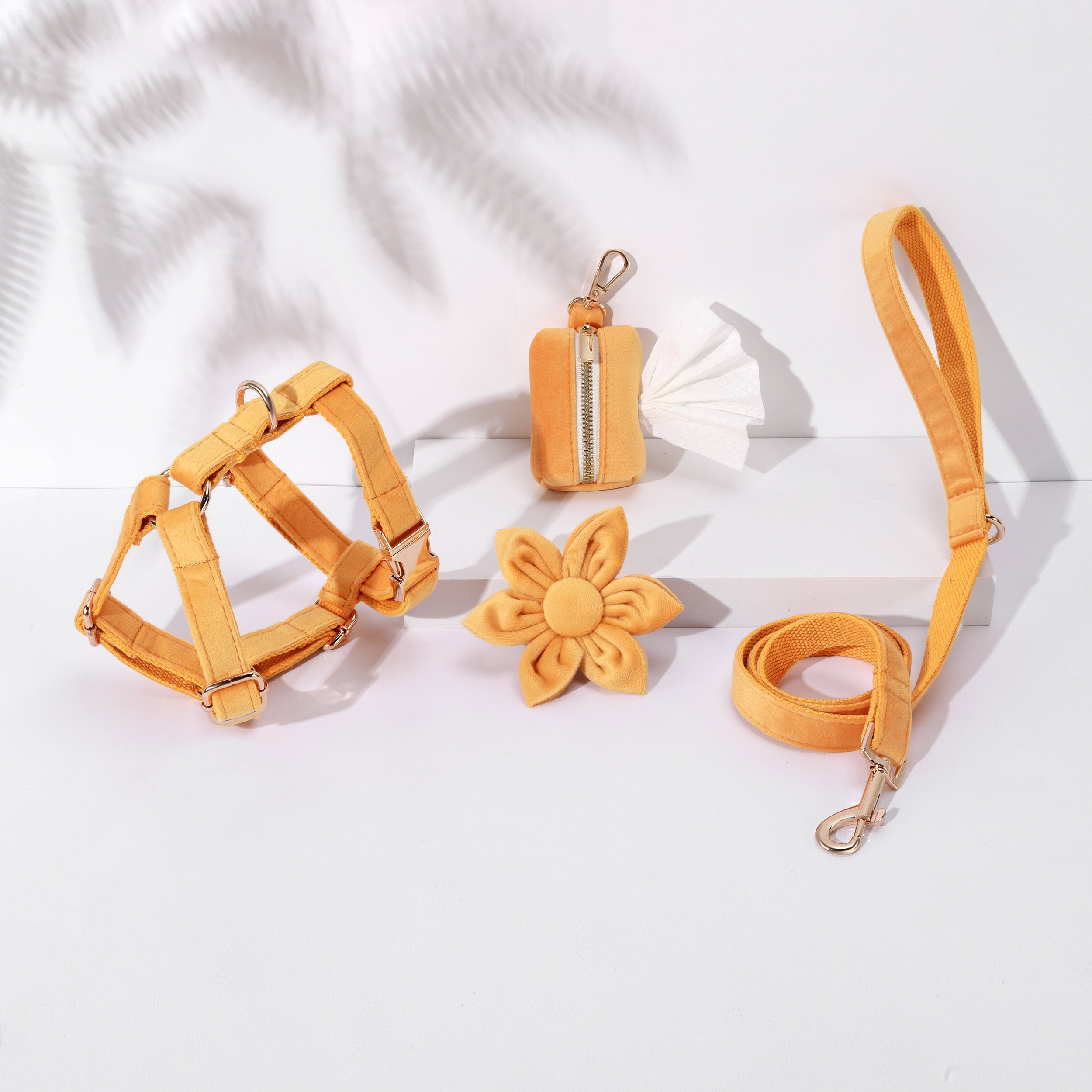 Pawsome Pets New York ENSEMBLE FLORAL STEP IN - ORANGE CLAIR (4 pièces) — Colliers, laisses et harnais — photo 2