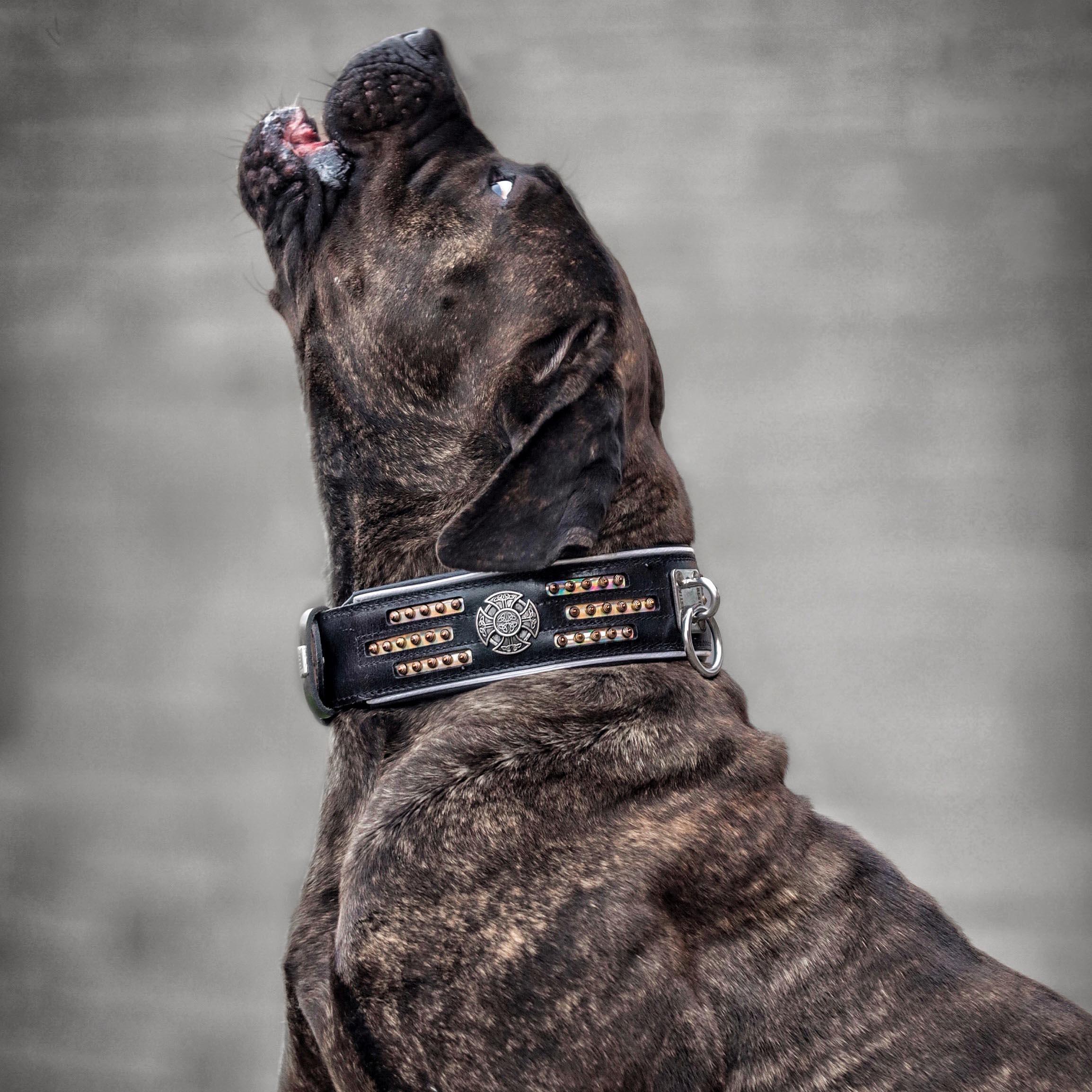 Bestia Collars Atlantis Collar — Obroże, smycze i szelki — photo 4