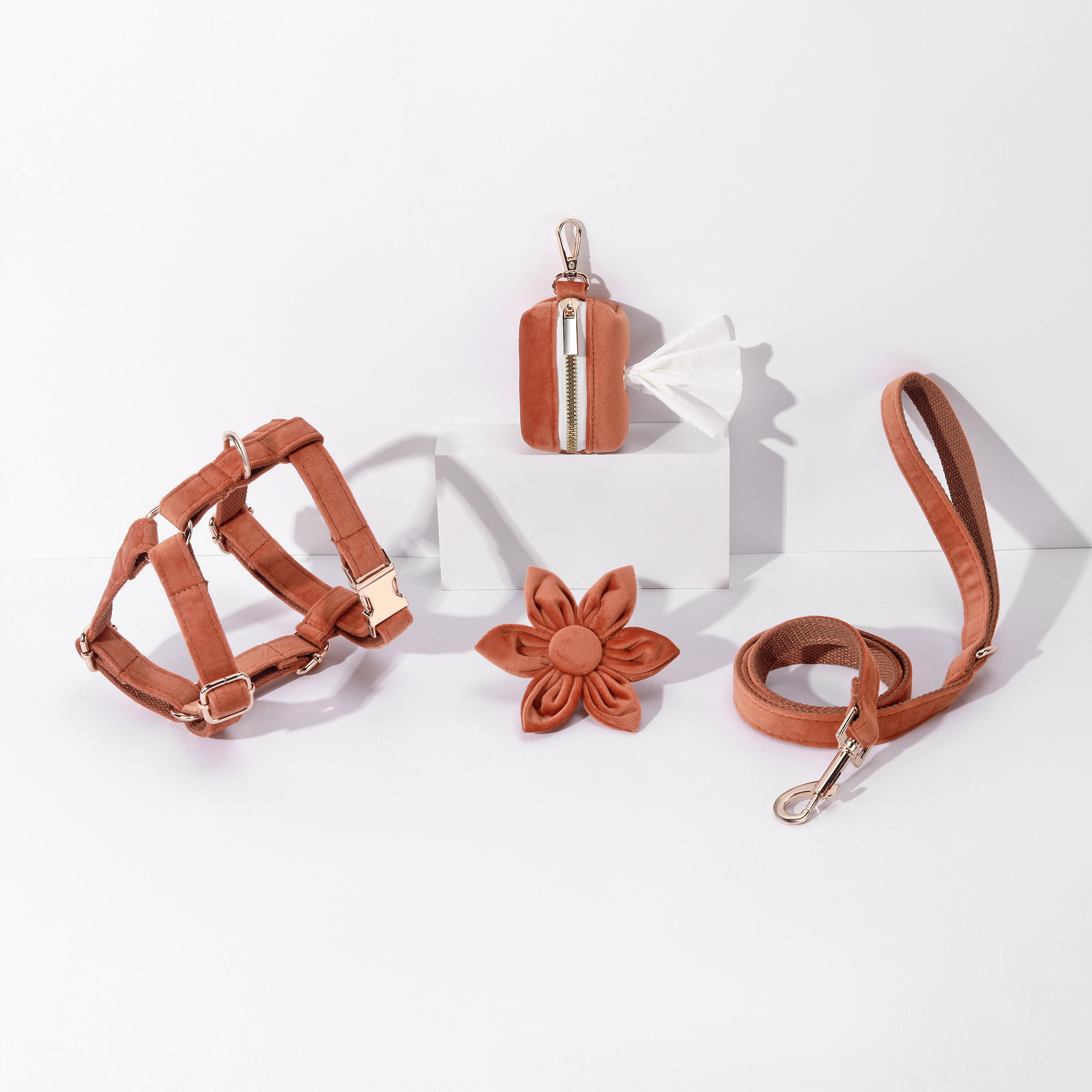 Pawsome Pets New York ENSEMBLE FLORAL STEP IN - BRUN(4 pièces) — Colliers, laisses et harnais — photo 2