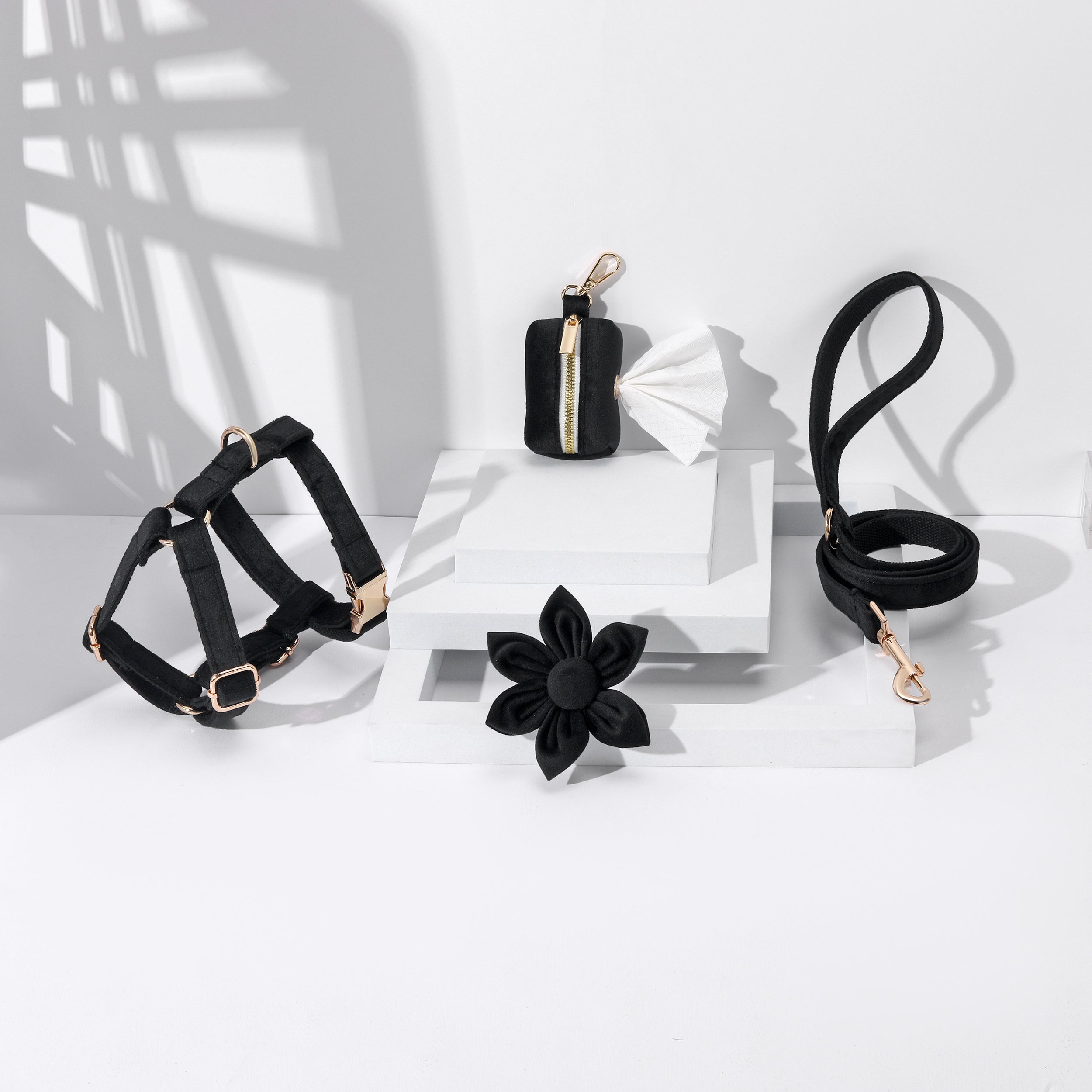 Pawsome Pets New York STEP IN FLORAL BUNDLE - BLACK (4 pieces) — Obroże, smycze i szelki — photo 2
