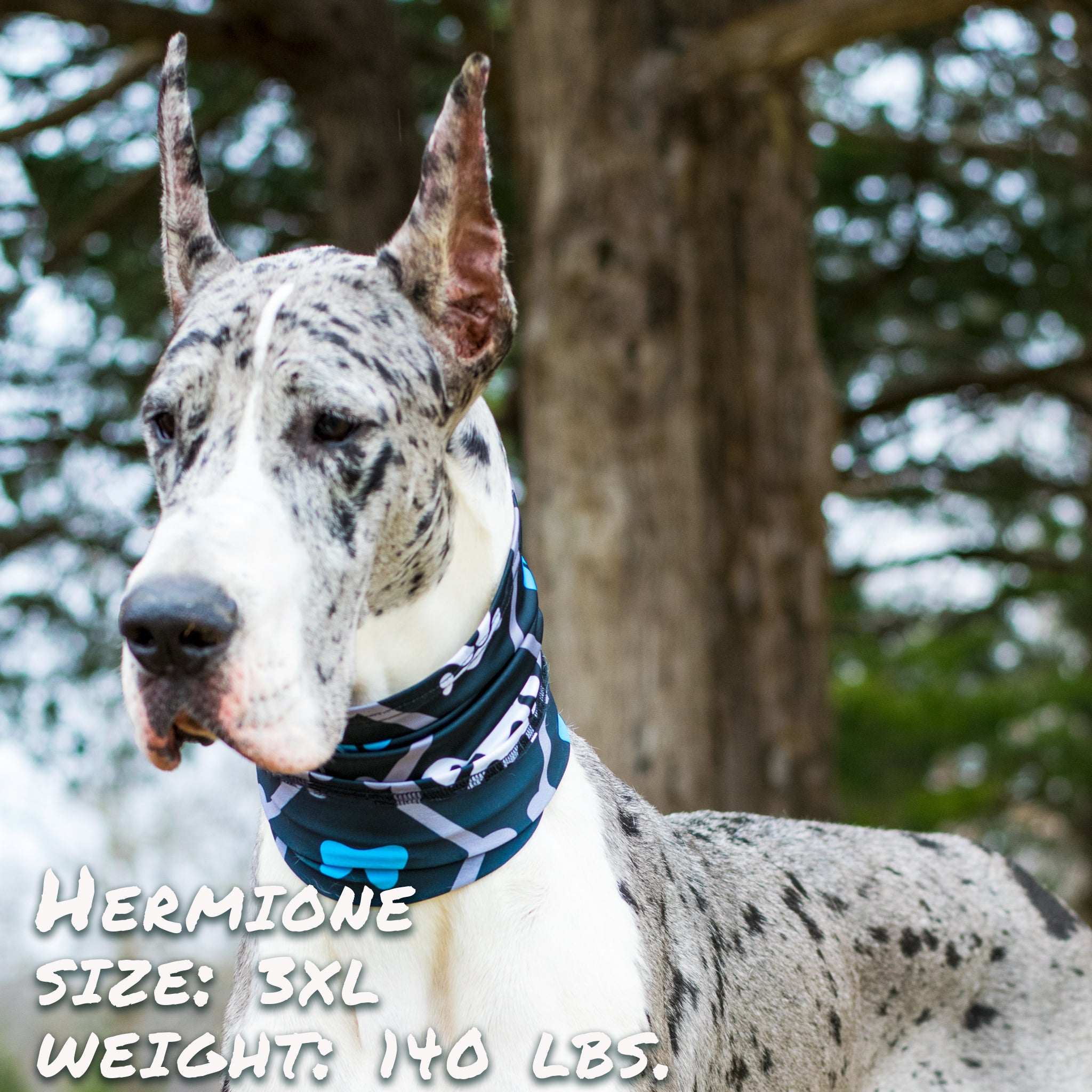Pup Scruffs Bone Dogger Pup Scruff — Vêtements pour chiens — photo 4