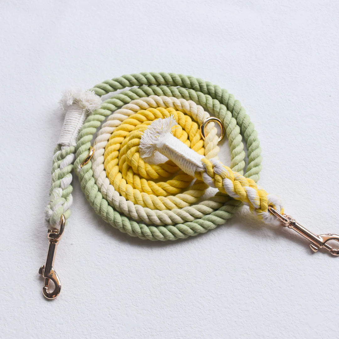 Pawsome Pets New York Laisse en corde pour chien mains libres - Lime lemonade — Colliers, laisses et harnais — photo 3