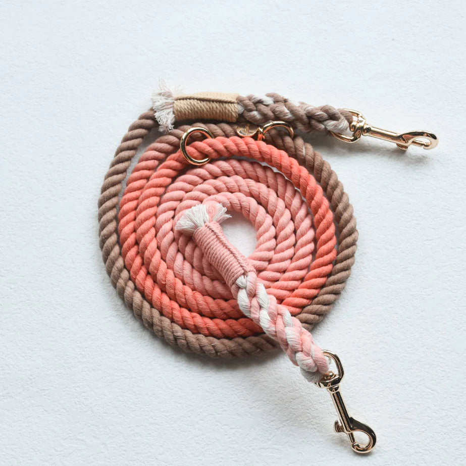 Pawsome Pets New York Laisse en corde mains libres pour chien - Peach and brown — Colliers, laisses et harnais — photo 2