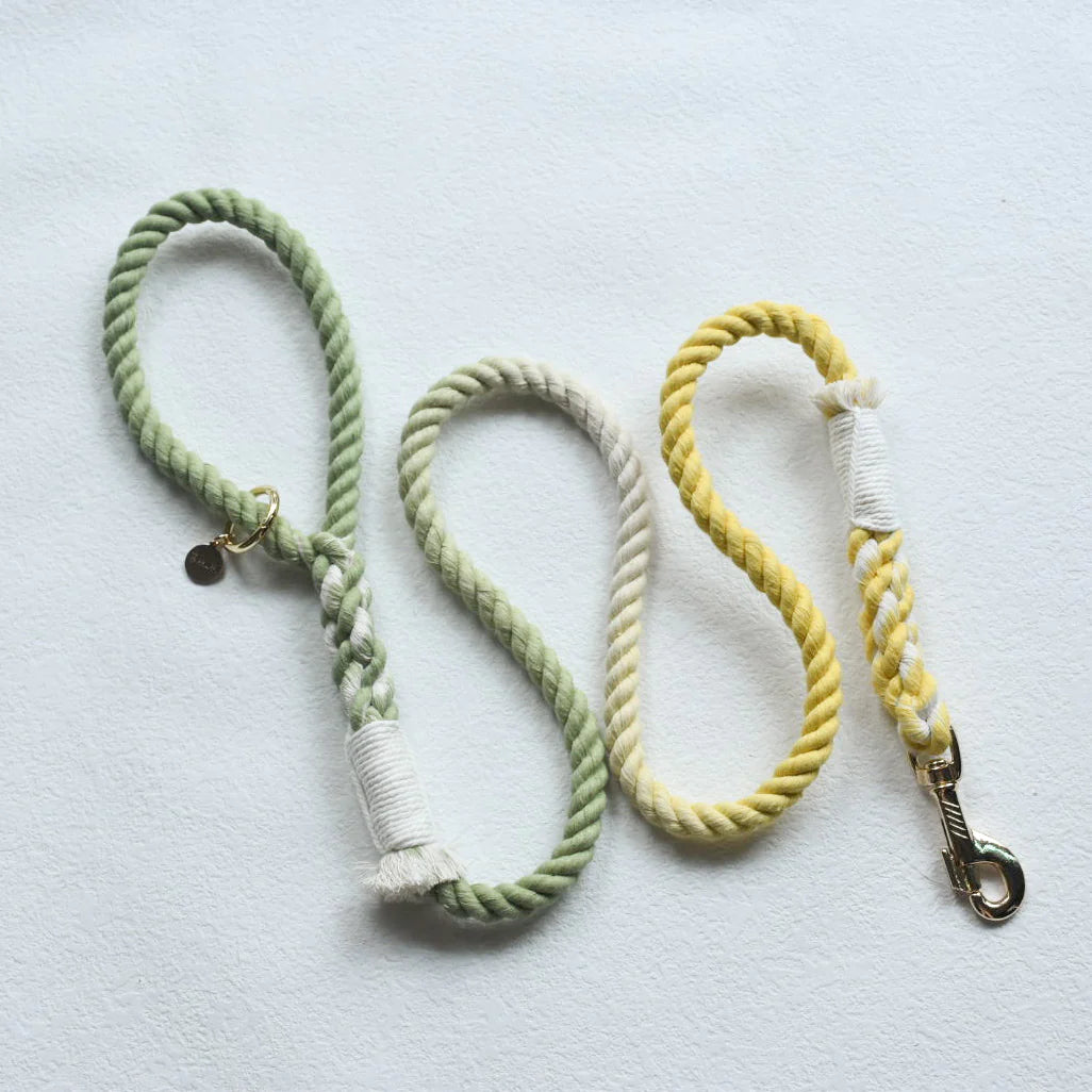 Pawsome Pets New York Laisse en corde pour chien mains libres - Lime lemonade — Colliers, laisses et harnais — photo 4