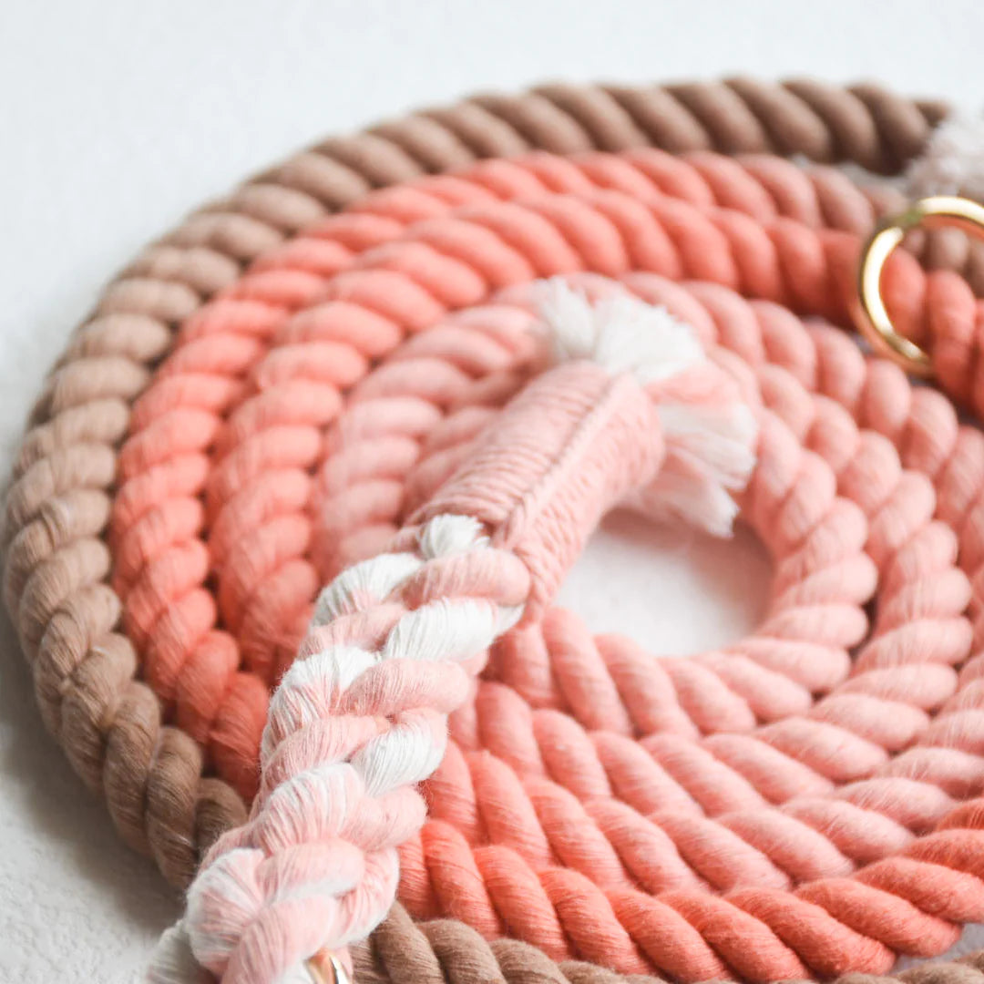 Pawsome Pets New York Laisse en corde mains libres pour chien - Peach and brown — Colliers, laisses et harnais — photo 3