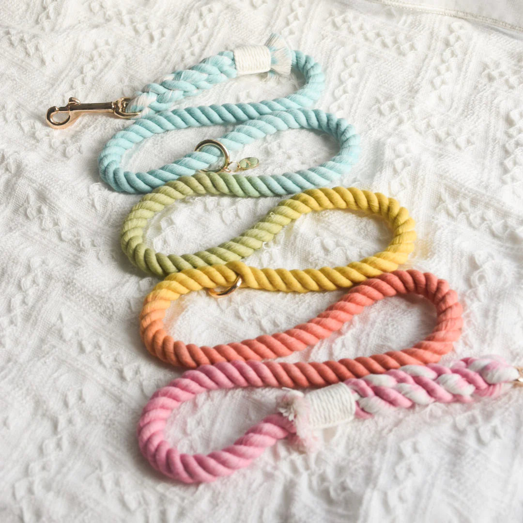 Pawsome Pets New York Smycz linowa - Sweet lollie — Obroże, smycze i szelki — photo 3