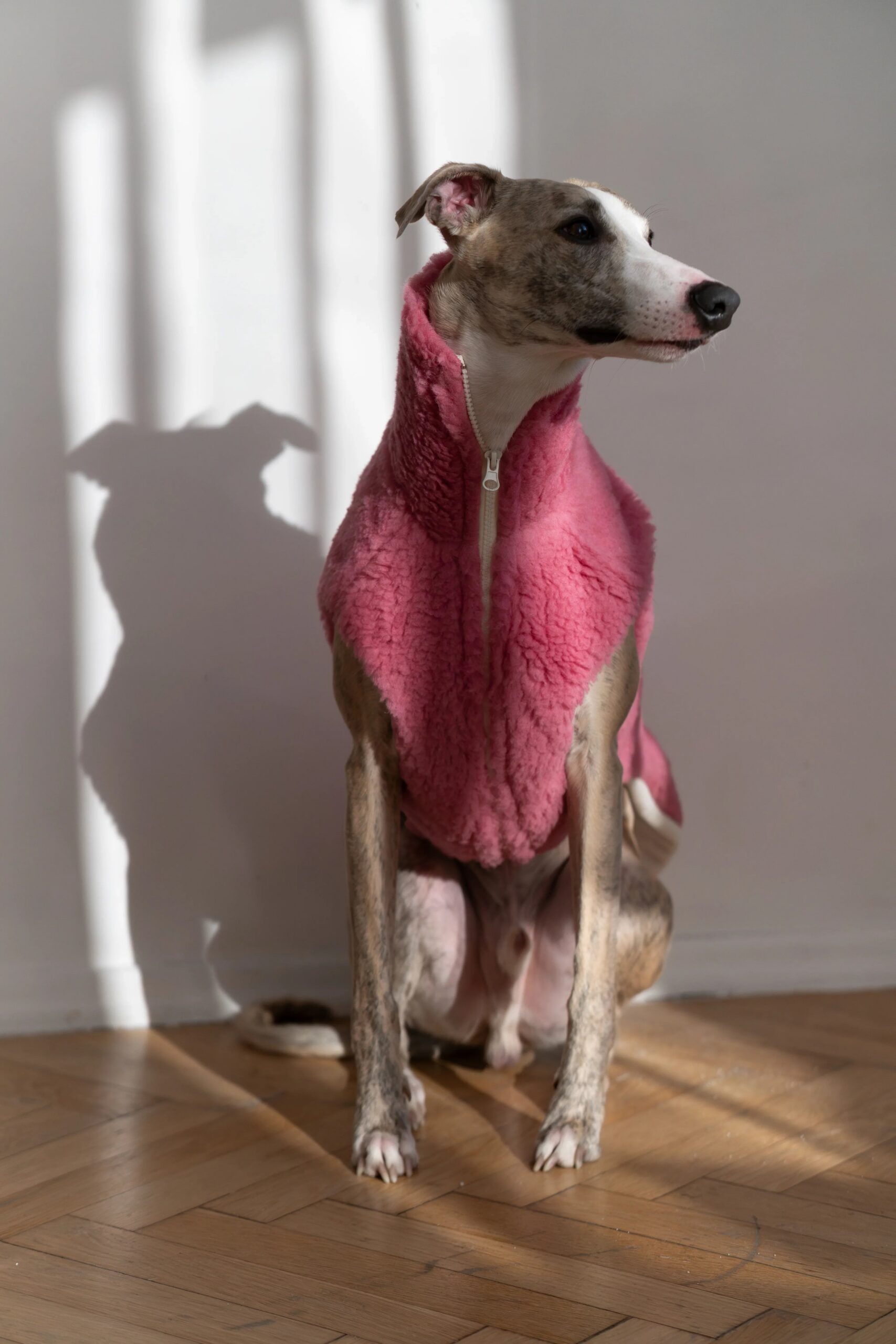 Mellow Pet Store Gilet en laine pour chien - Rose — Vêtements pour chiens — photo 2