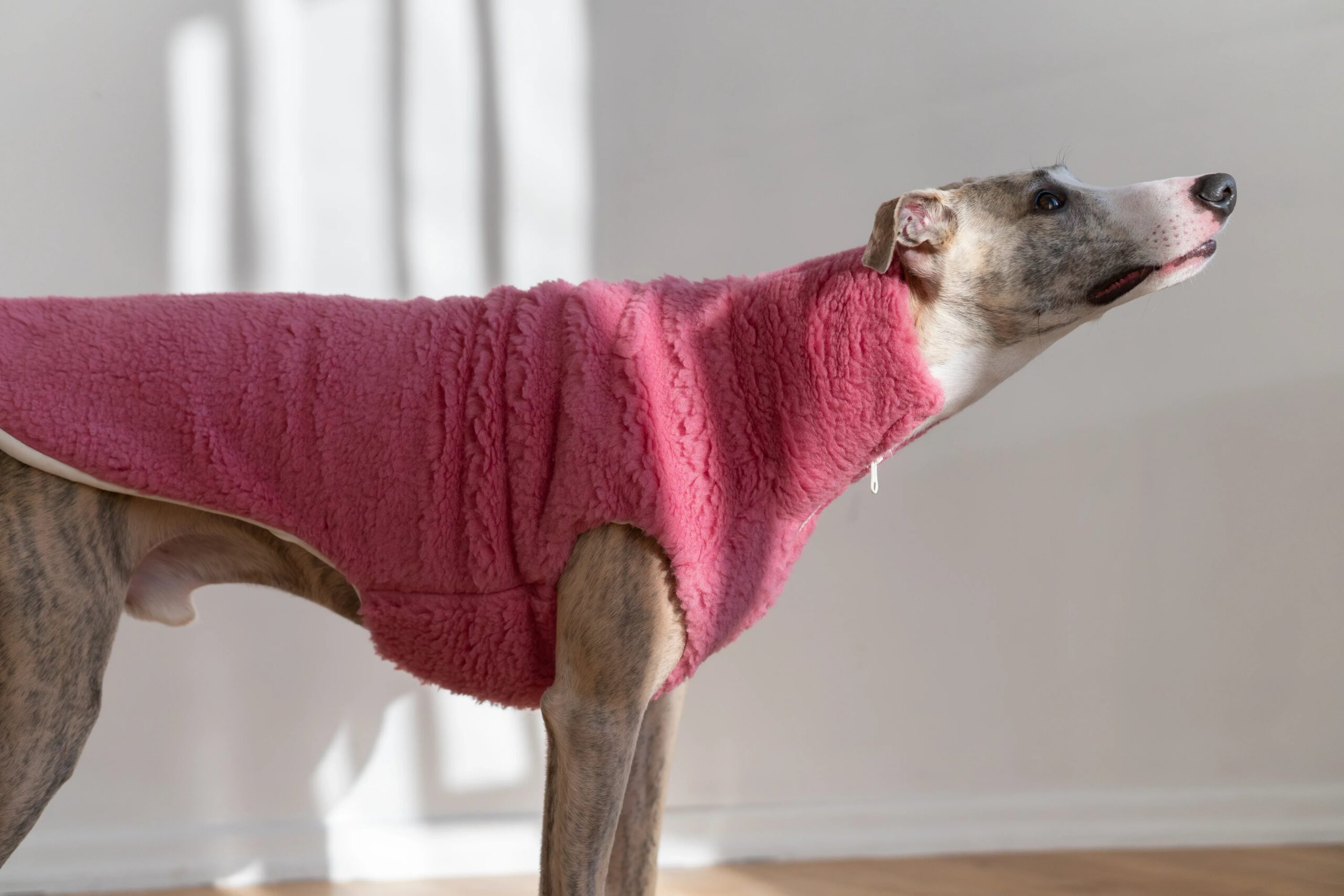 Mellow Pet Store Gilet en laine pour chien - Rose — Vêtements pour chiens — photo 3