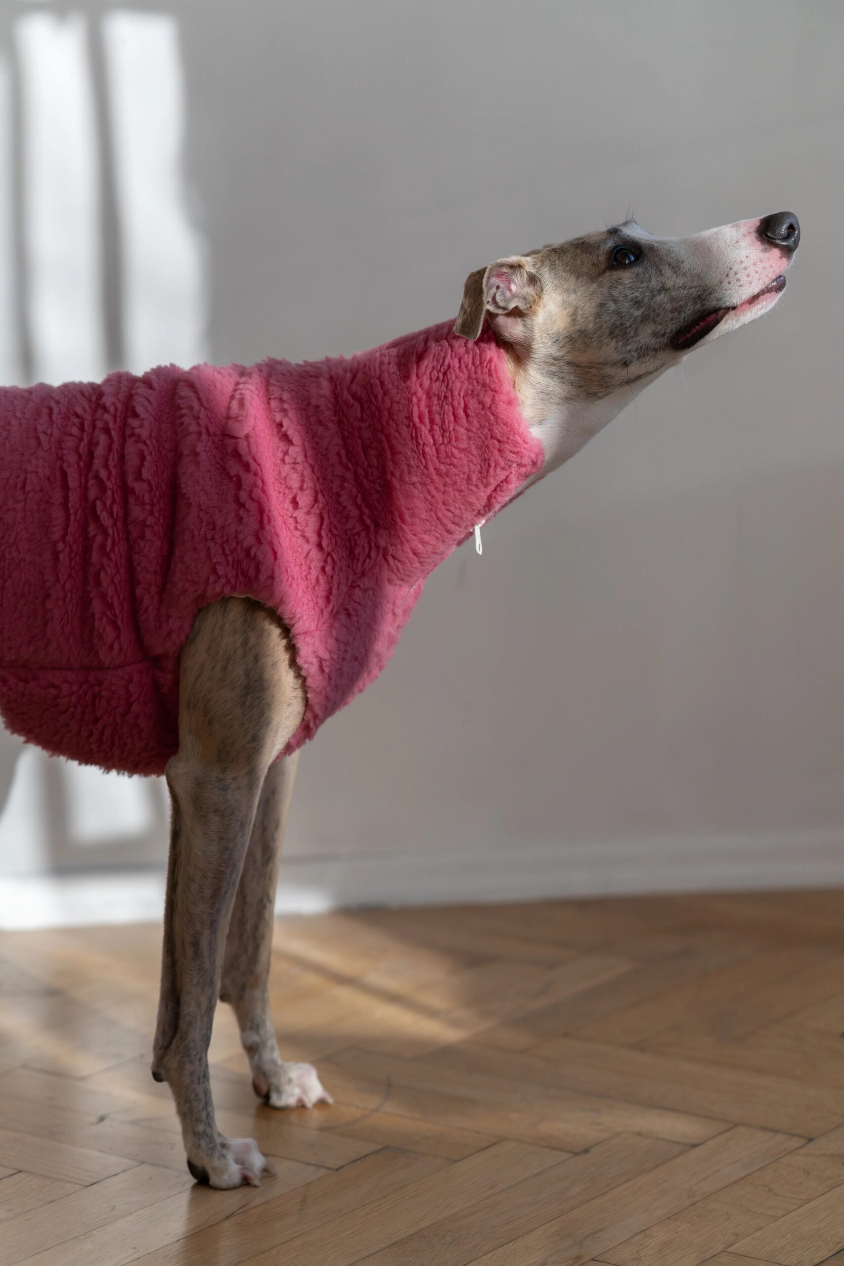 Mellow Pet Store Gilet en laine pour chien - Rose — Vêtements pour chiens — photo 4