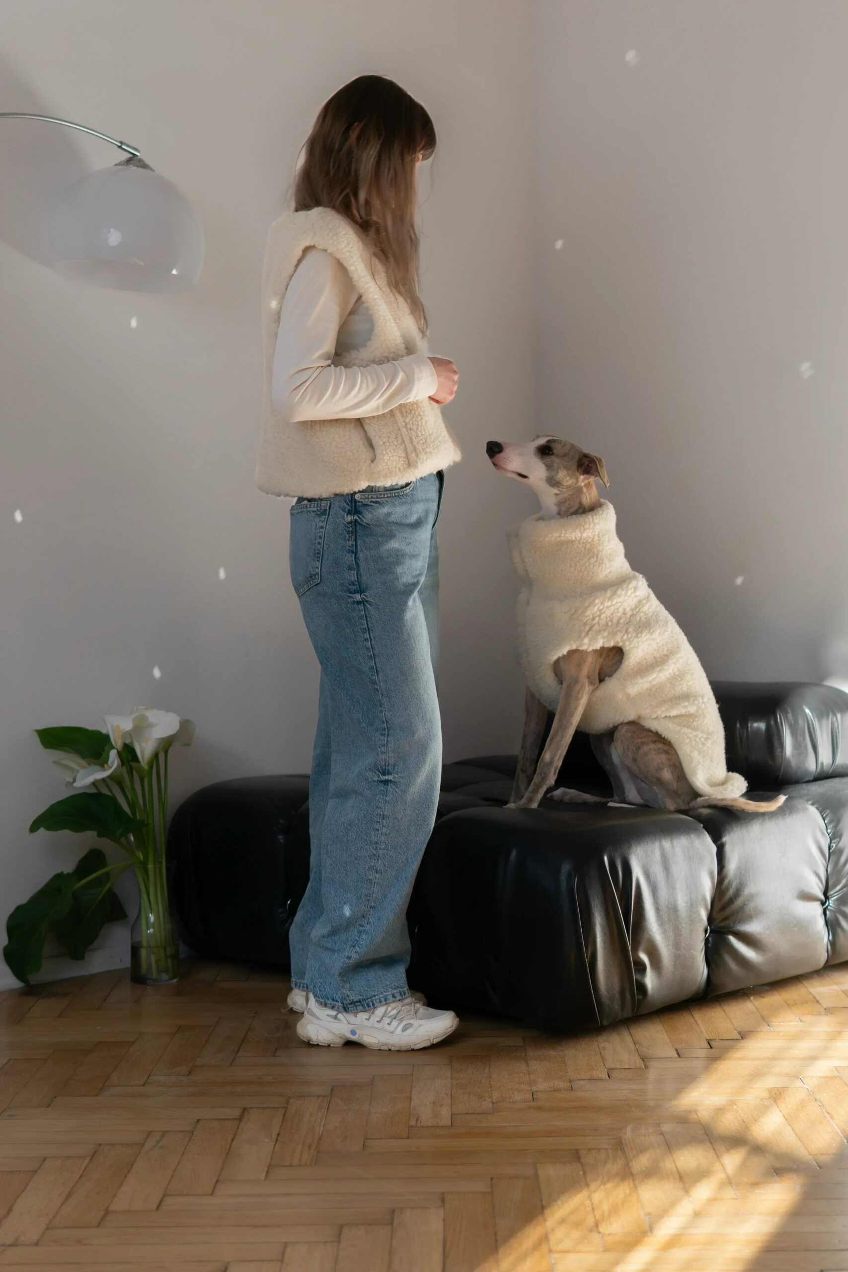 Mellow Concept Store Gilet en laine pour chien - Beige — Vêtements pour chiens — photo 6