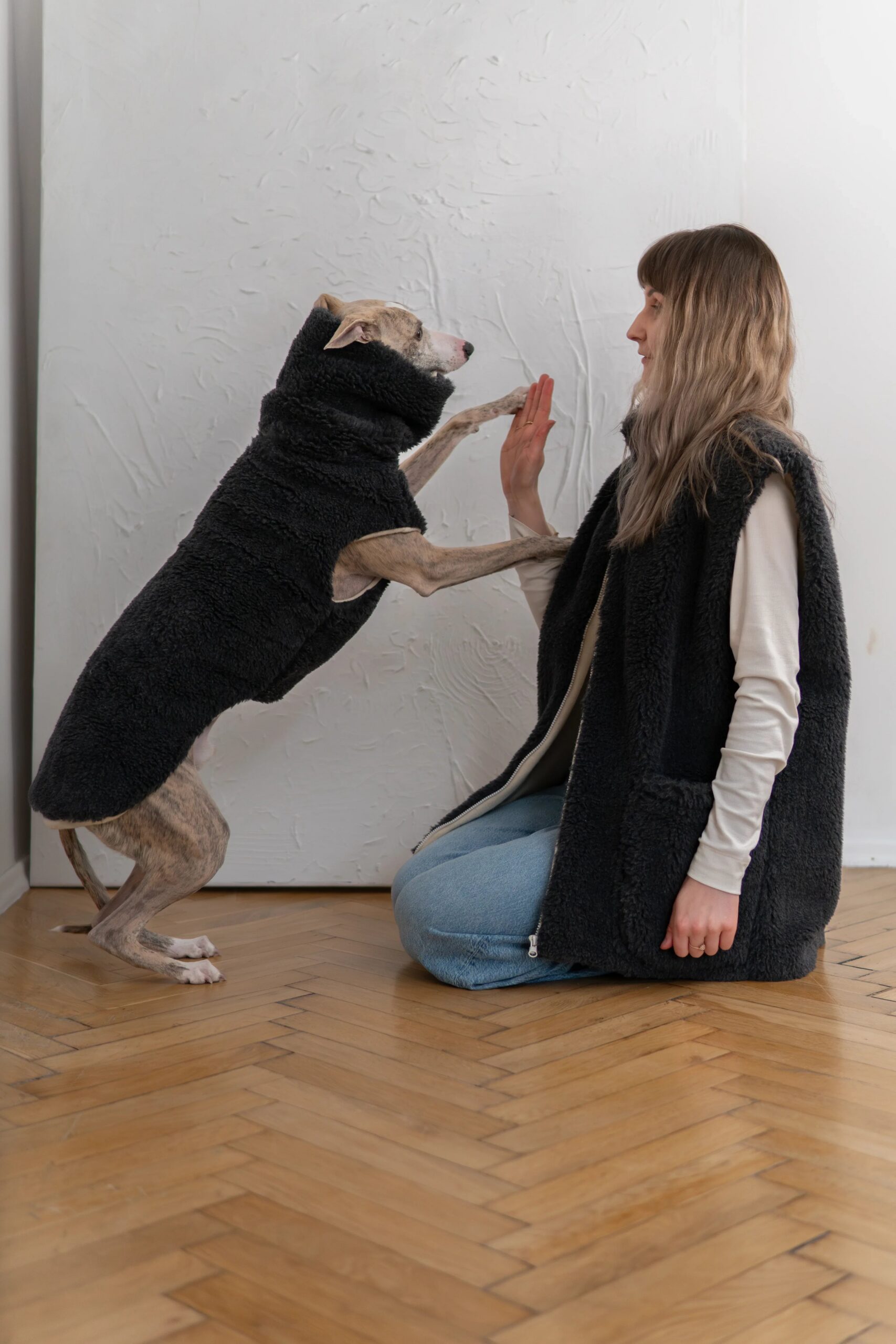 Mellow Pet Store Gilet en laine pour chien - Anthracite — Vêtements pour chiens — photo 2