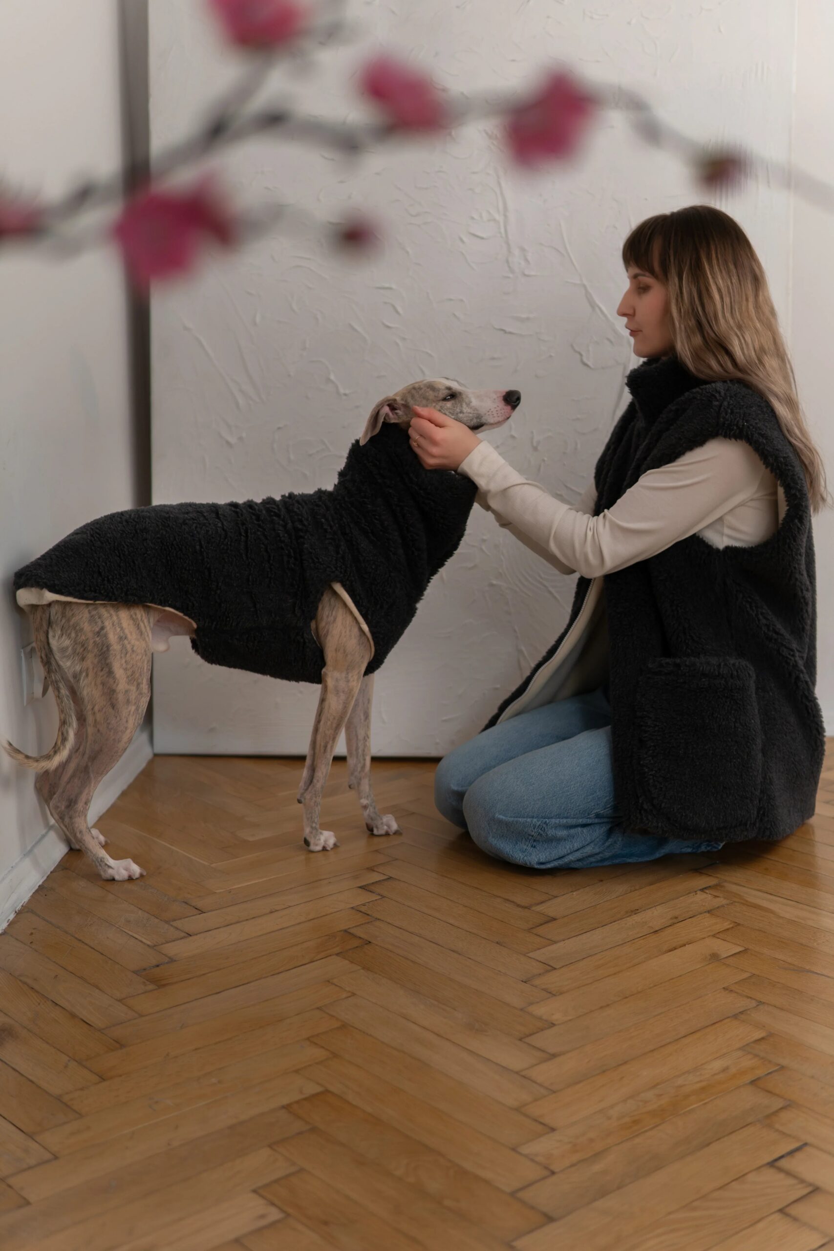 Mellow Pet Store Gilet en laine pour chien - Anthracite — Vêtements pour chiens — photo 3