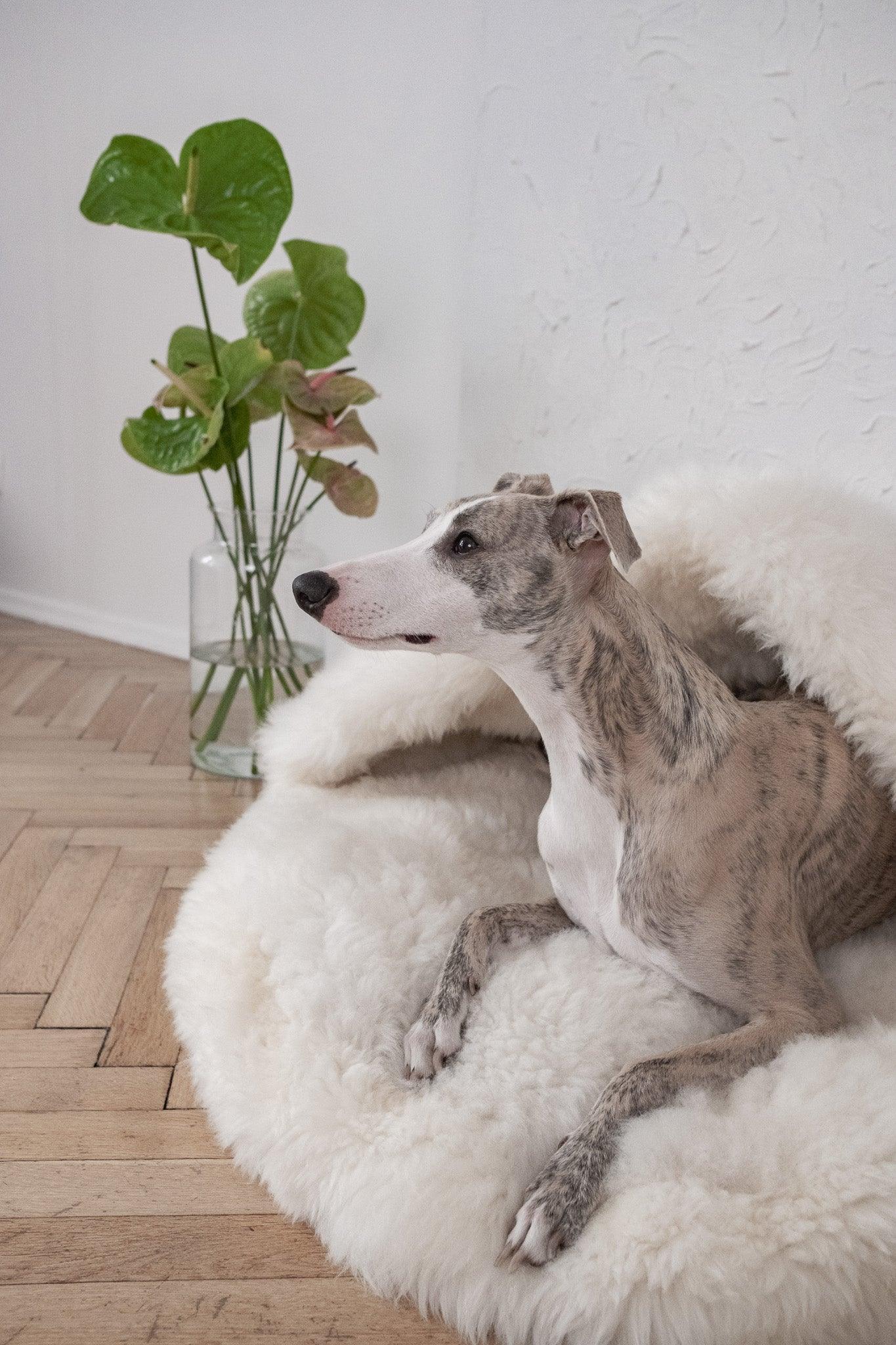Mellow Pet Store Naturalna jaskinia dla zwierząt z owczej skóry - White — Drapaki i drzewka — photo 4