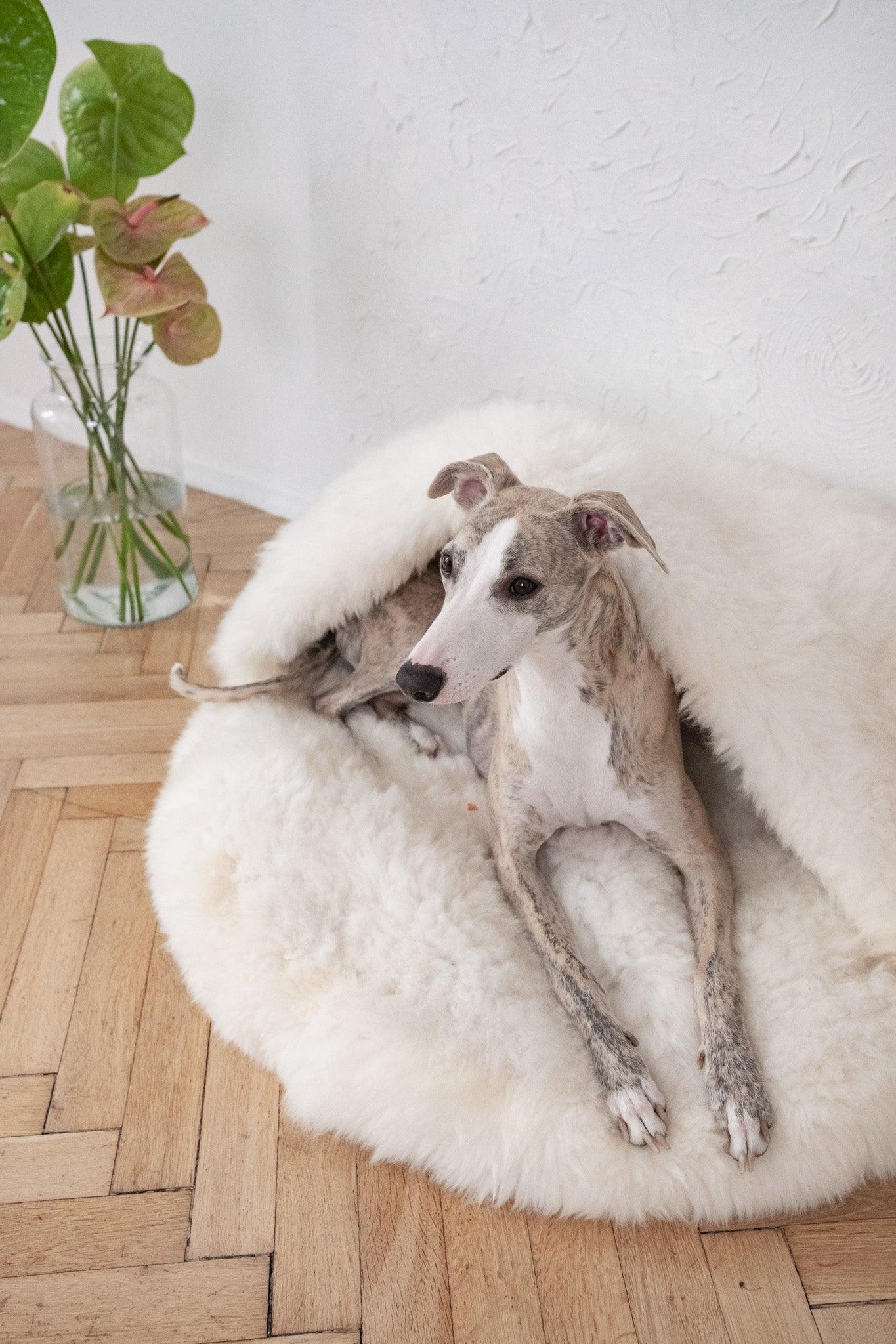 Mellow Pet Store Naturalna jaskinia dla zwierząt z owczej skóry - White — Drapaki i drzewka — photo 3