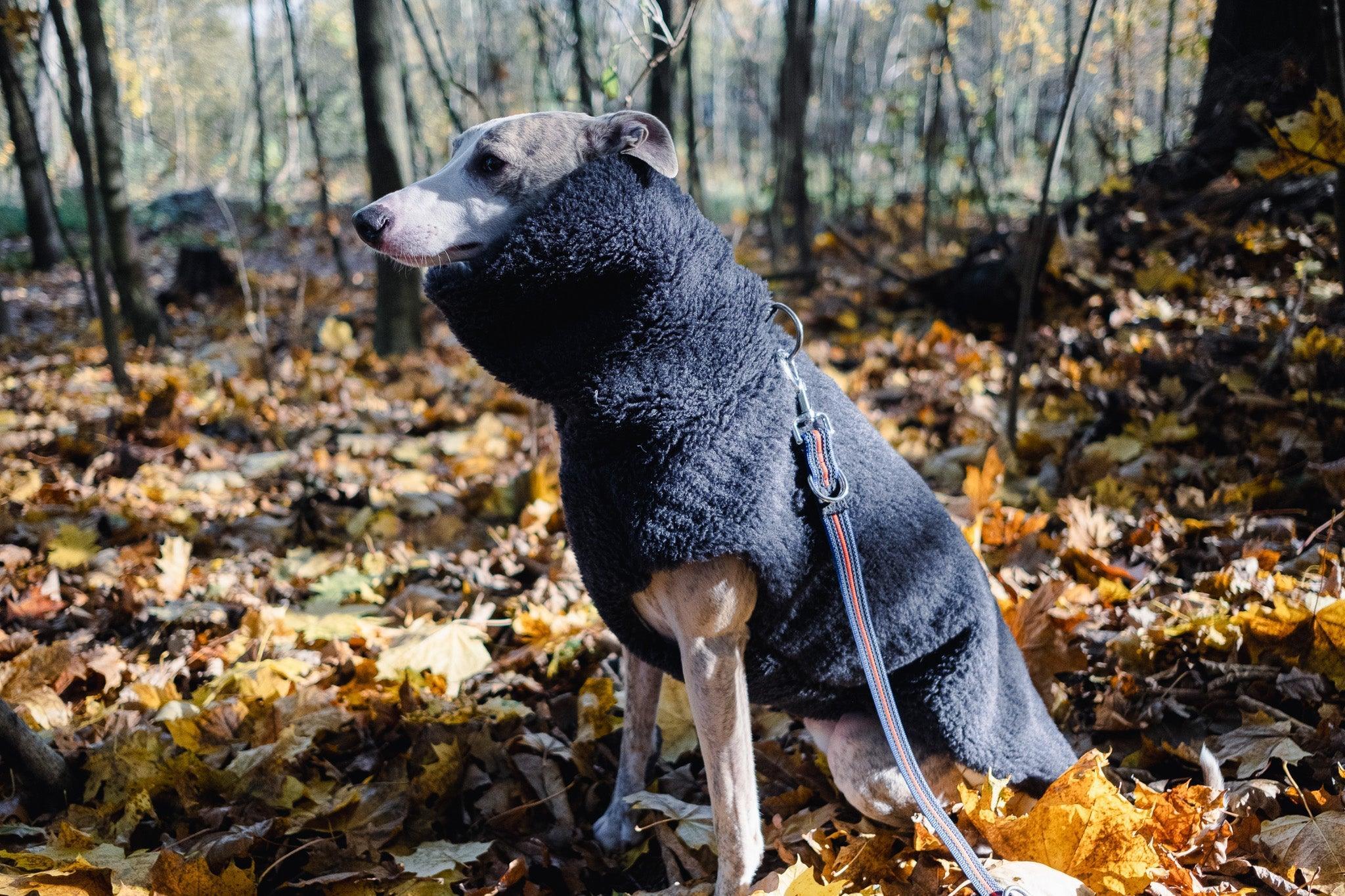 Mellow Pet Store Gilet en laine pour chien - Anthracite — Vêtements pour chiens — photo 5