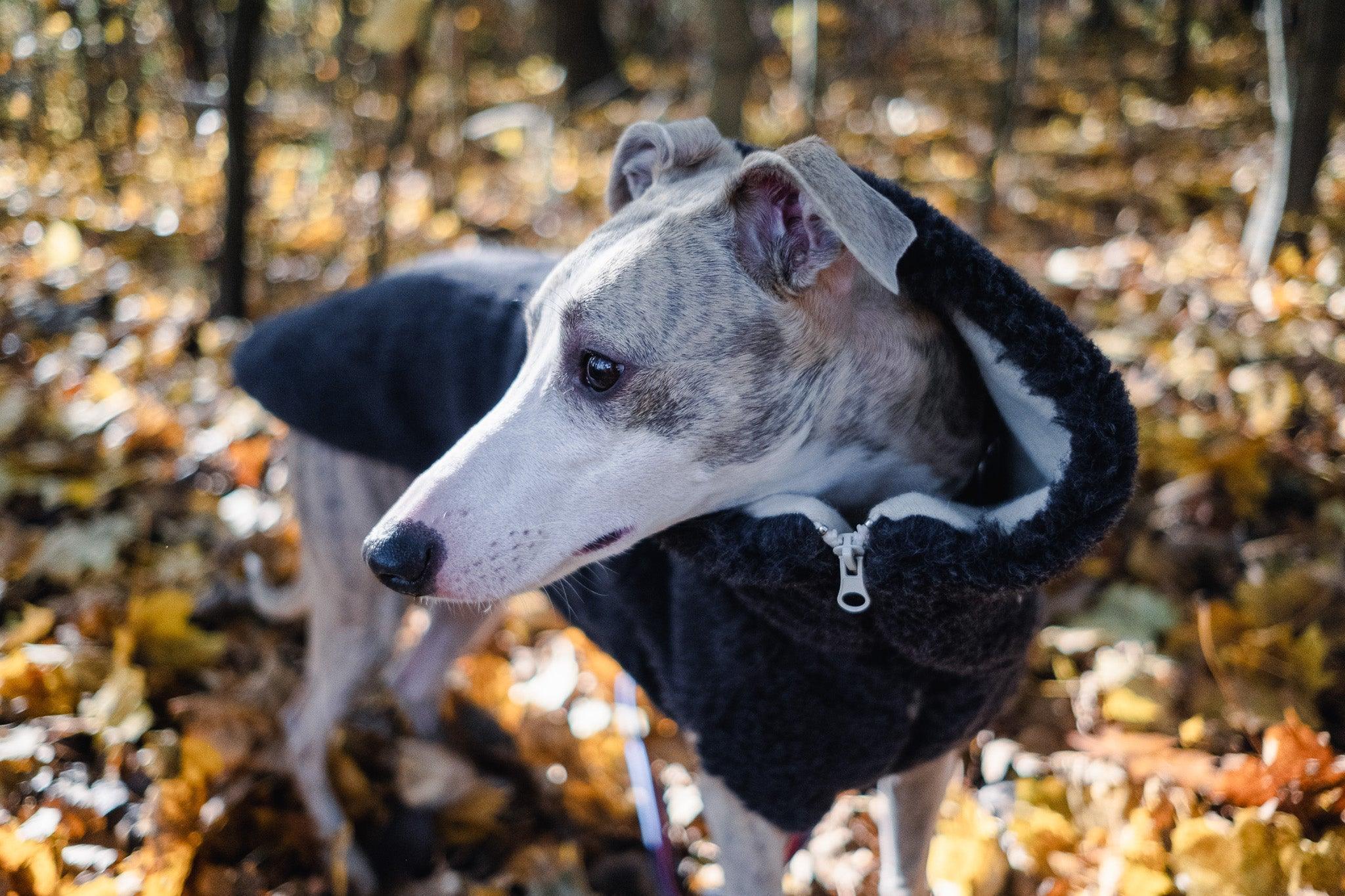 Mellow Pet Store Gilet en laine pour chien - Anthracite — Vêtements pour chiens — photo 4