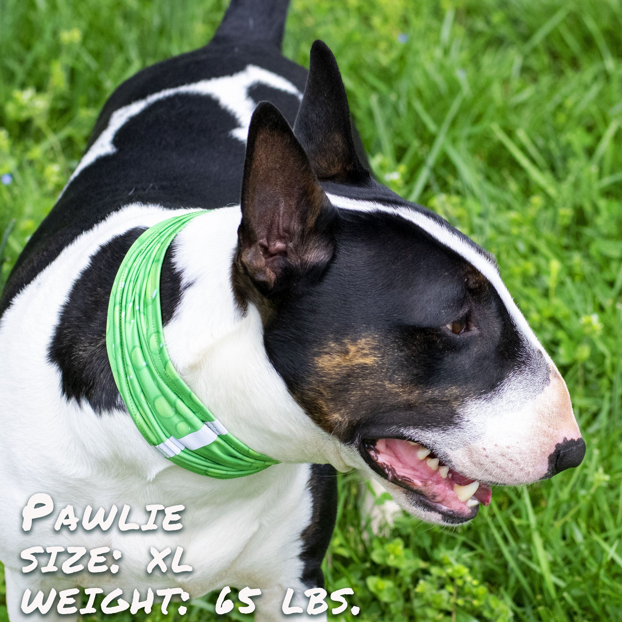 Pup Scruffs Komin dla psa Drops of LIME — Ubranka dla psów — photo 4