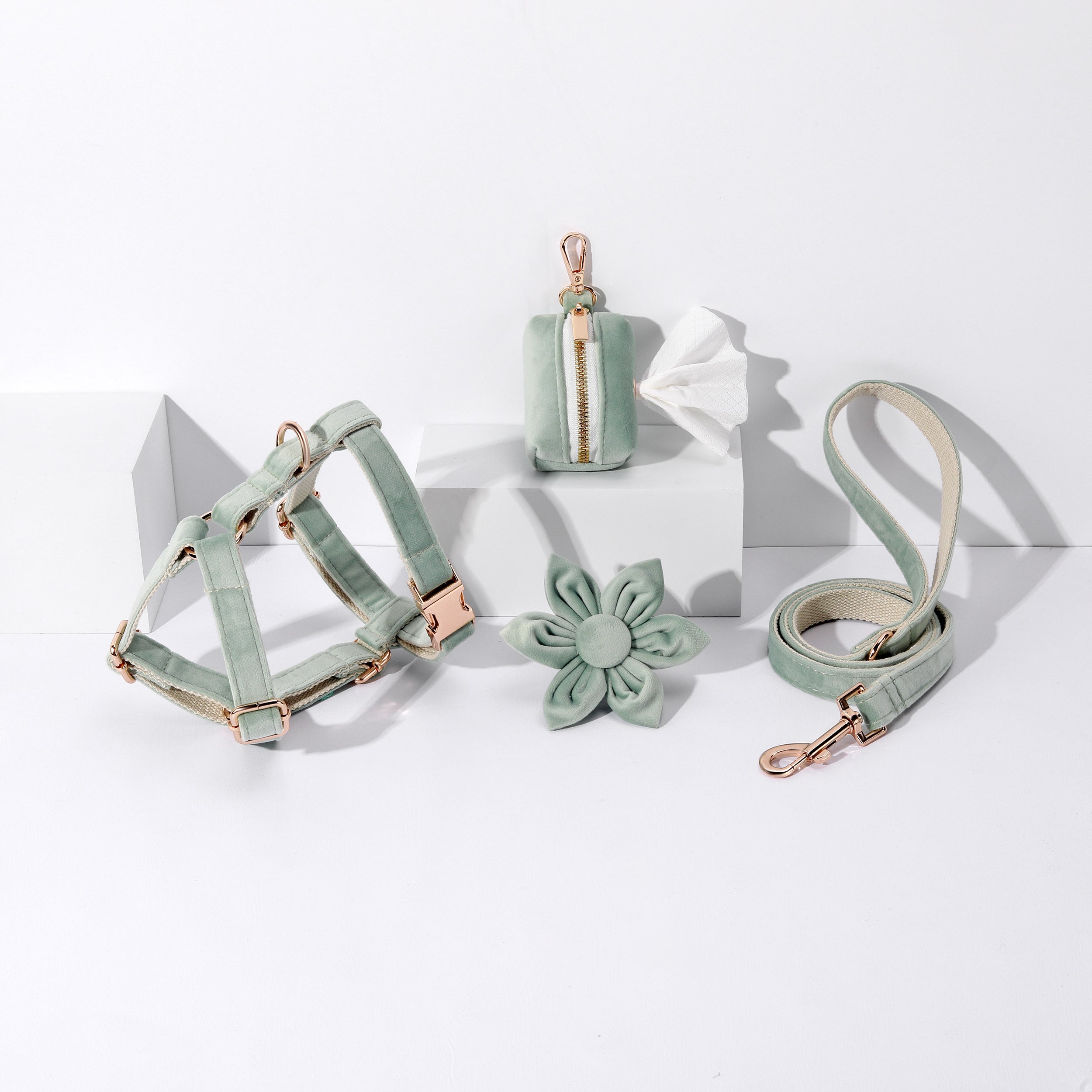 Pawsome Pets New York ENSEMBLE FLORAL STEP IN - VERT MENTHE CLAIR (4 pièces) — Colliers, laisses et harnais — photo 2