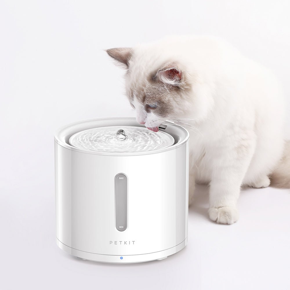 Petkit Europe Fontaine à eau pour animaux EverSweet Solo 2 — Gamelles, distributeurs et fontaines — photo 3