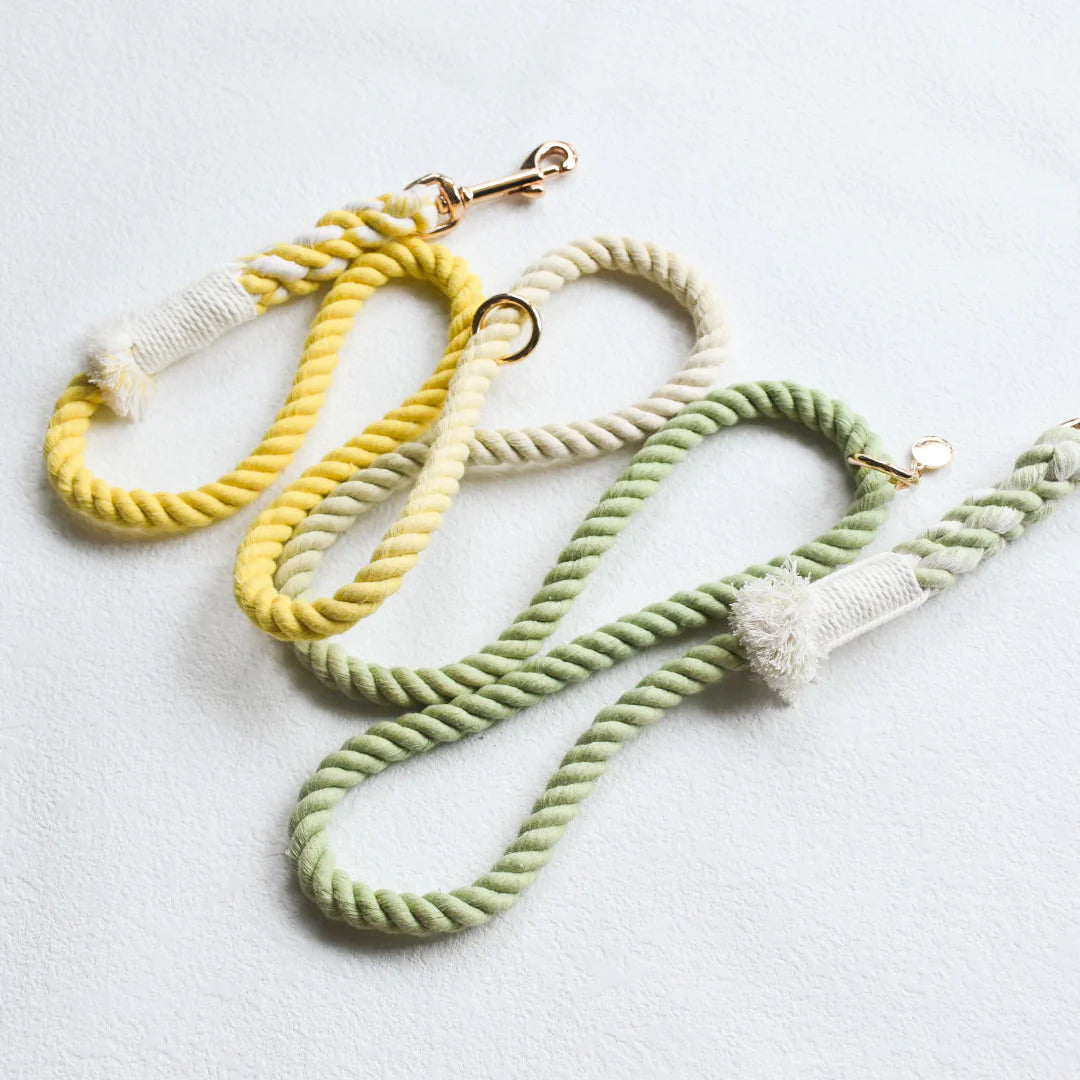 Pawsome Pets New York Laisse en corde pour chien mains libres - Lime lemonade — Colliers, laisses et harnais — photo 2