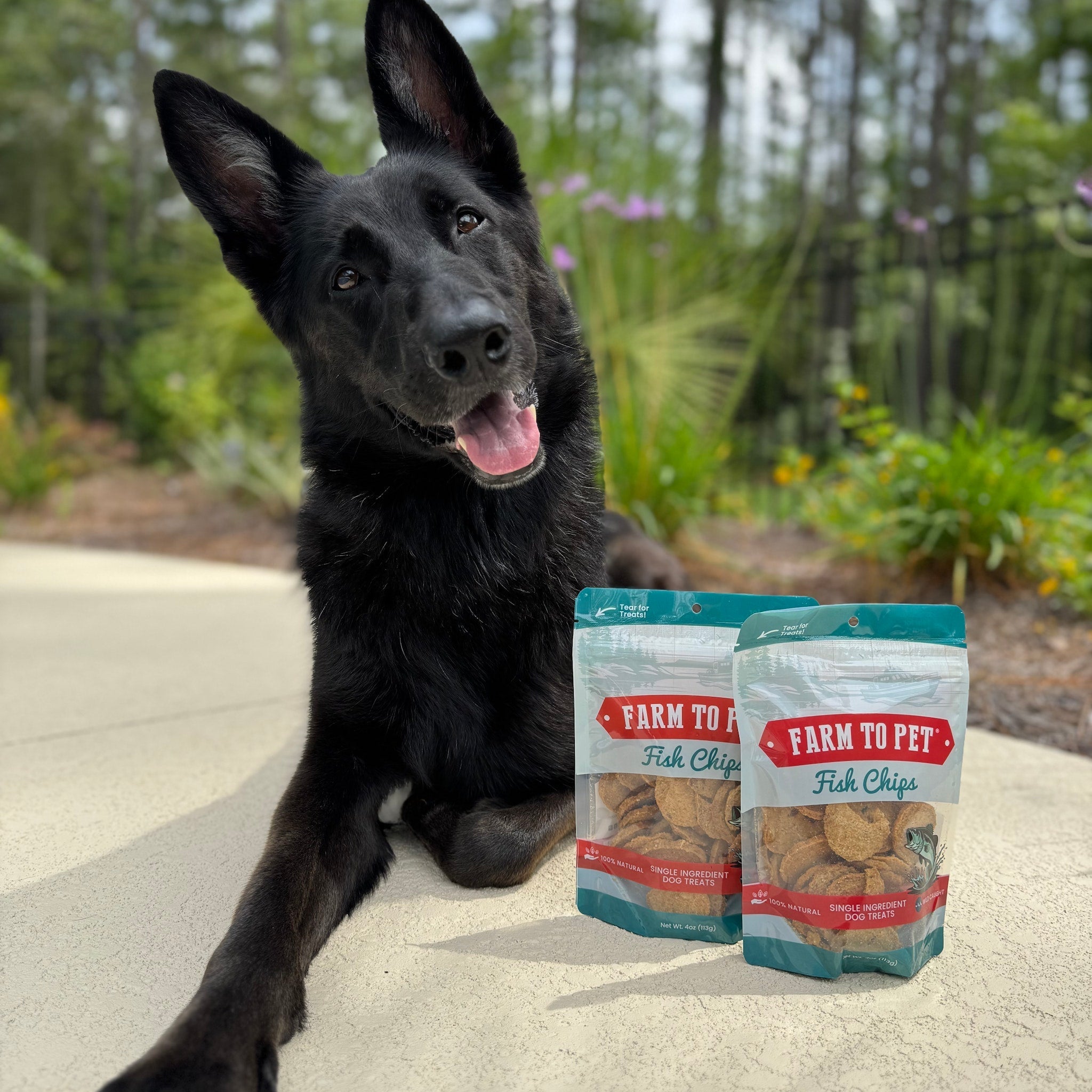 Farm To Pet Chips de poisson pour chiens | Friandises au poisson pêché à l'état sauvage — photo 4