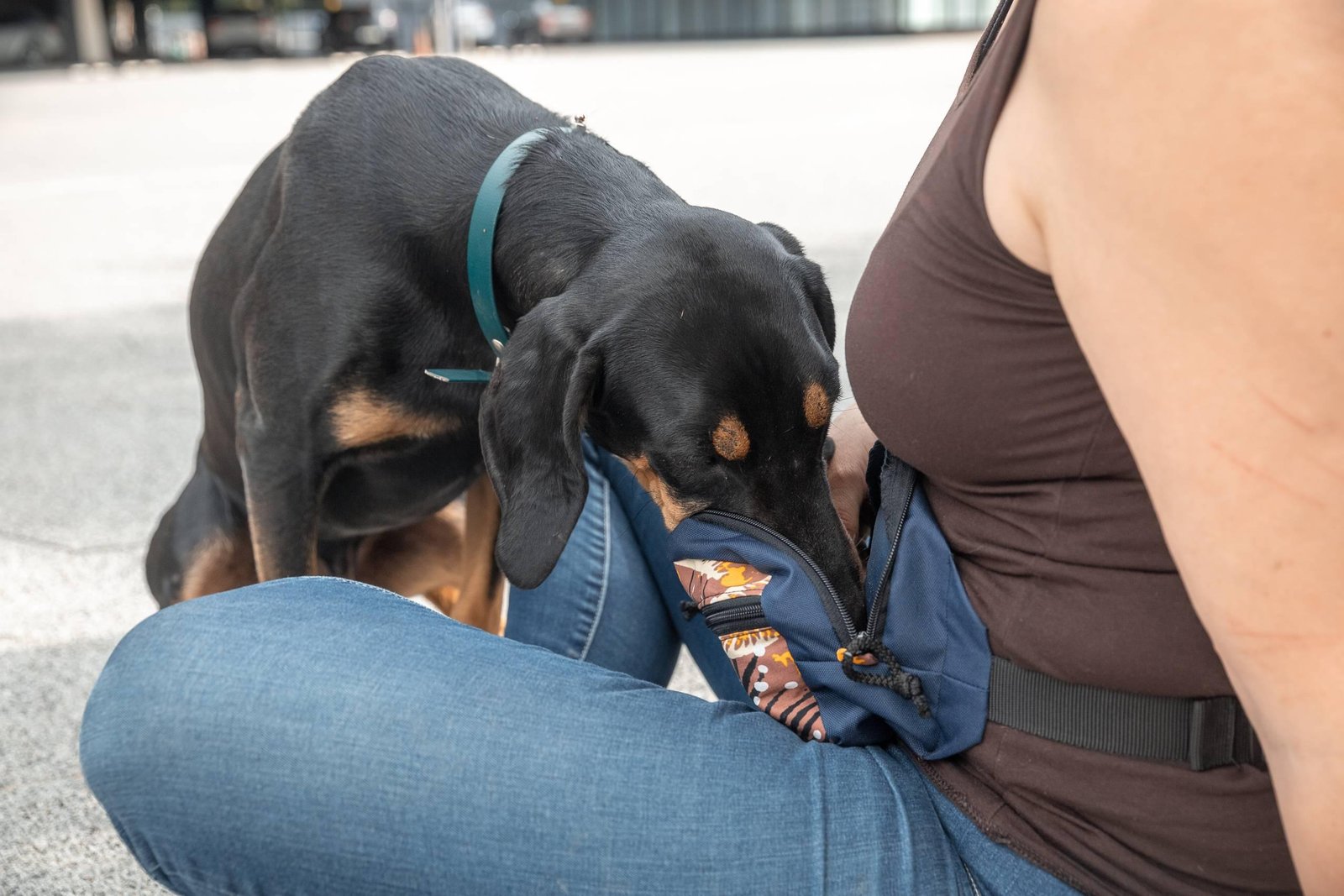 Drinbags Sac à friandises pour chien POLKA DOTS — photo 8