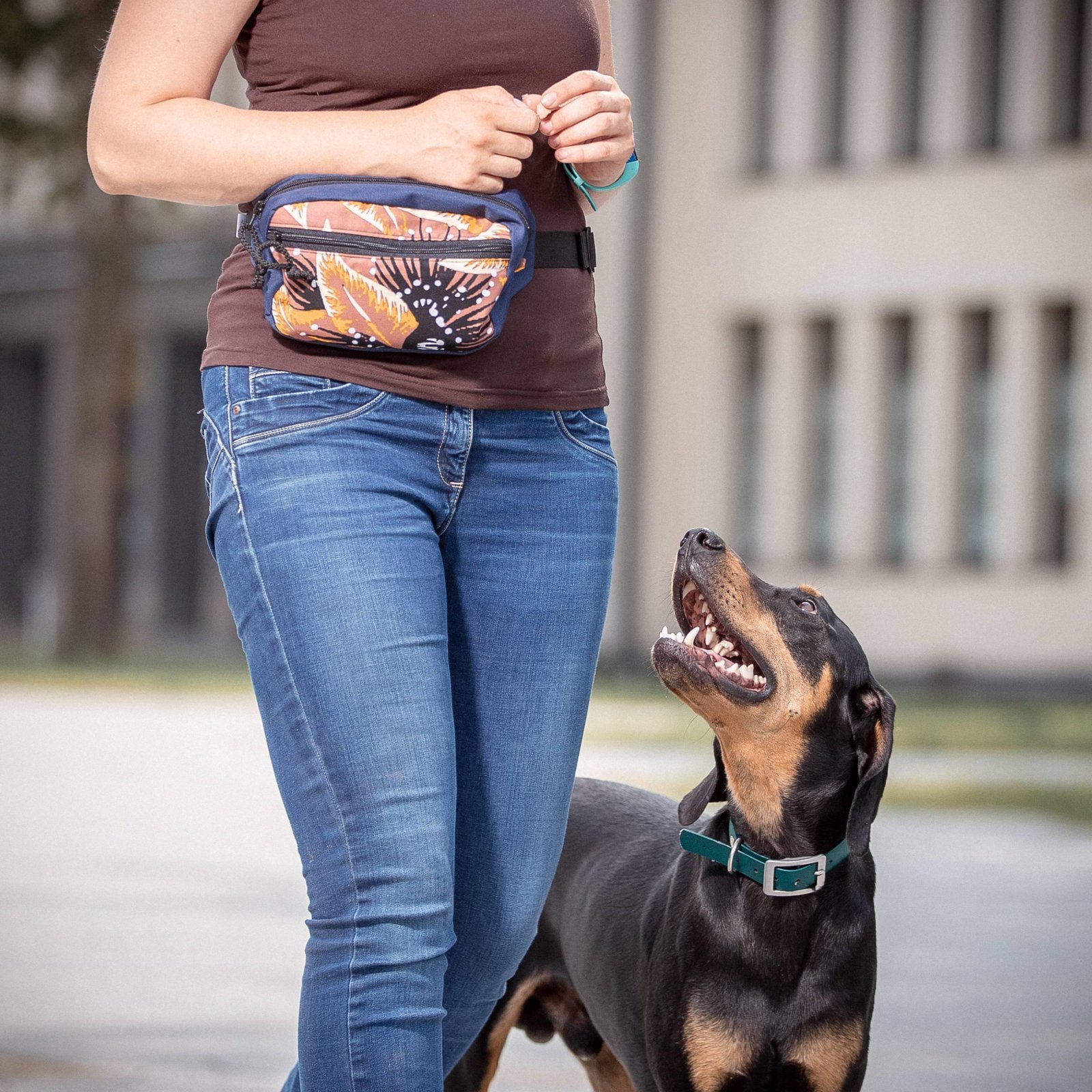 Drinbags Sac à friandises pour chien TAIL OF THE WHALE — photo 6