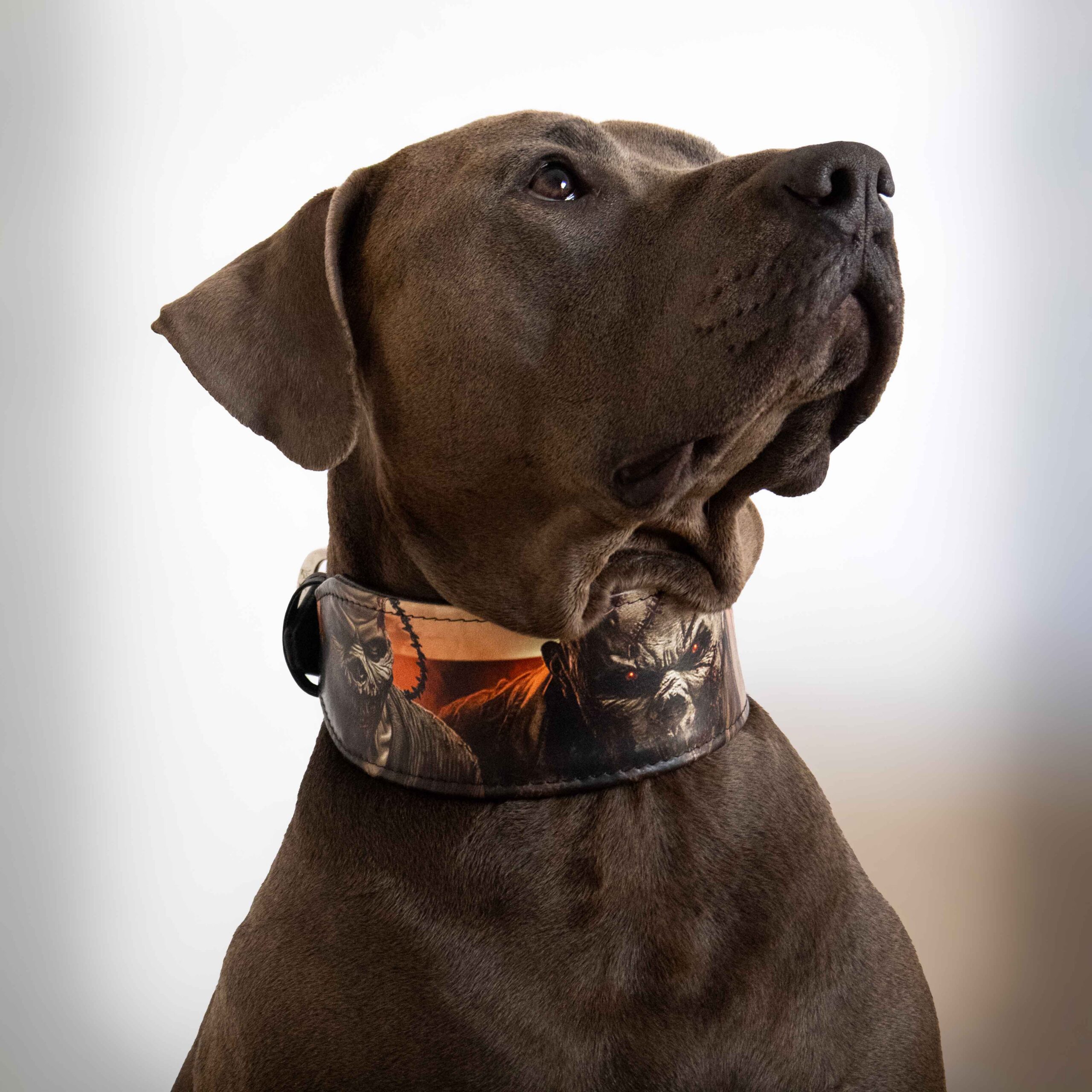 Bestia The Scare Collar Limited — Obroże, smycze i szelki — photo 4