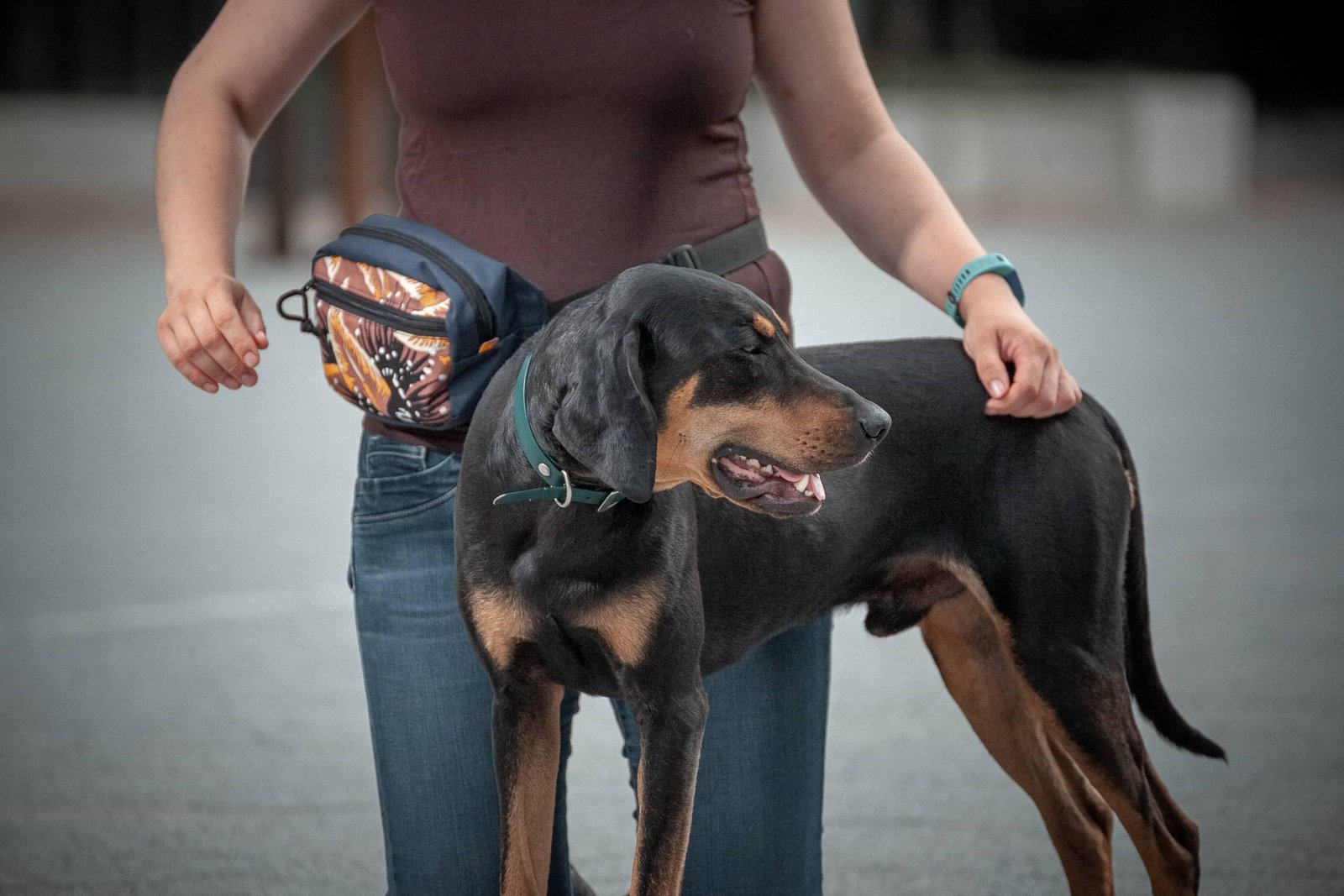 Drinbags Sacoche à friandises pour chien CHERRY — photo 7