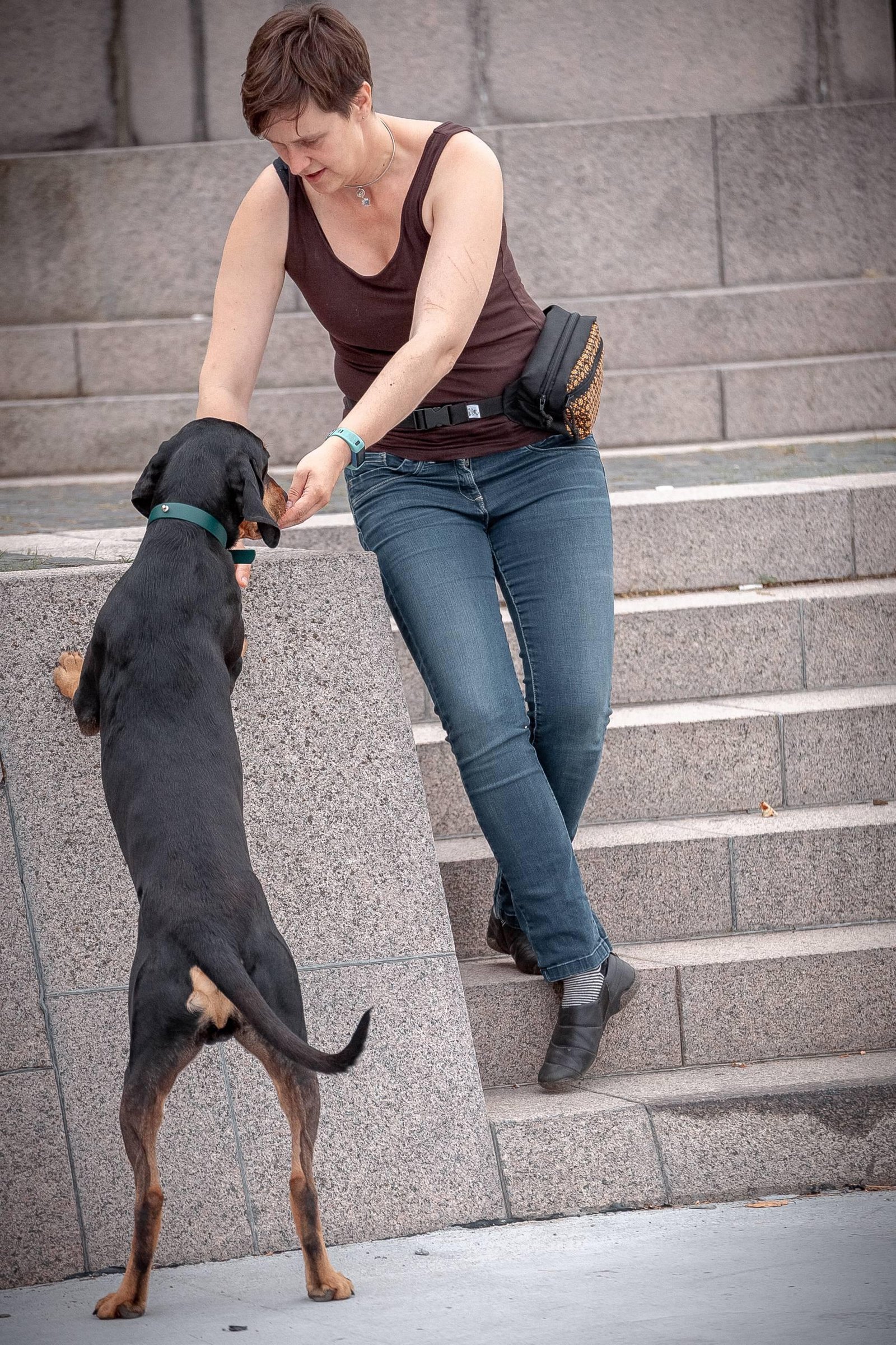 Drinbags Sac à friandises pour chien SEA URCHIN — photo 5