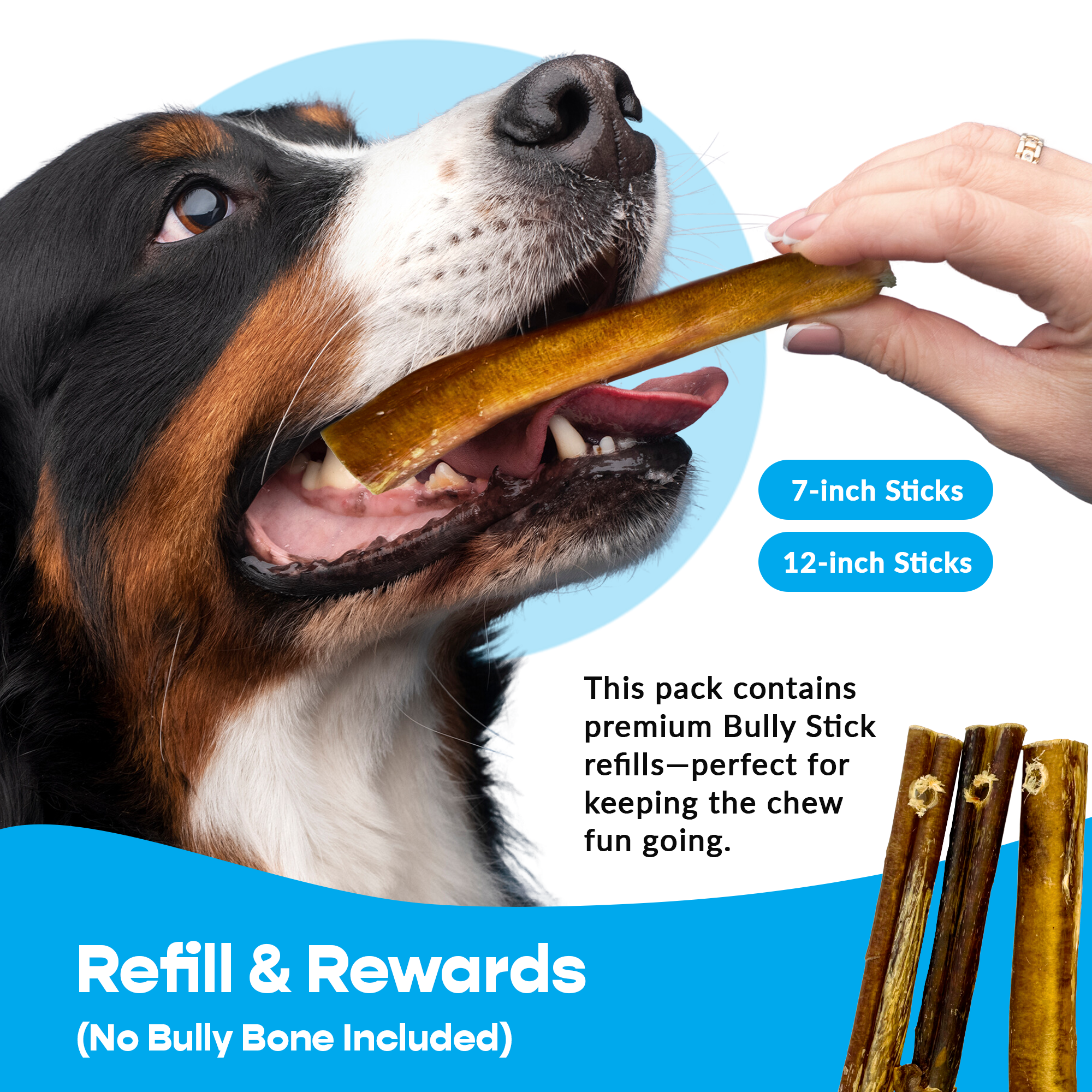 Classic Pet Chewz Sticks bully standard de 12" - Pack de recharge — Friandises et os à mâcher — photo 6