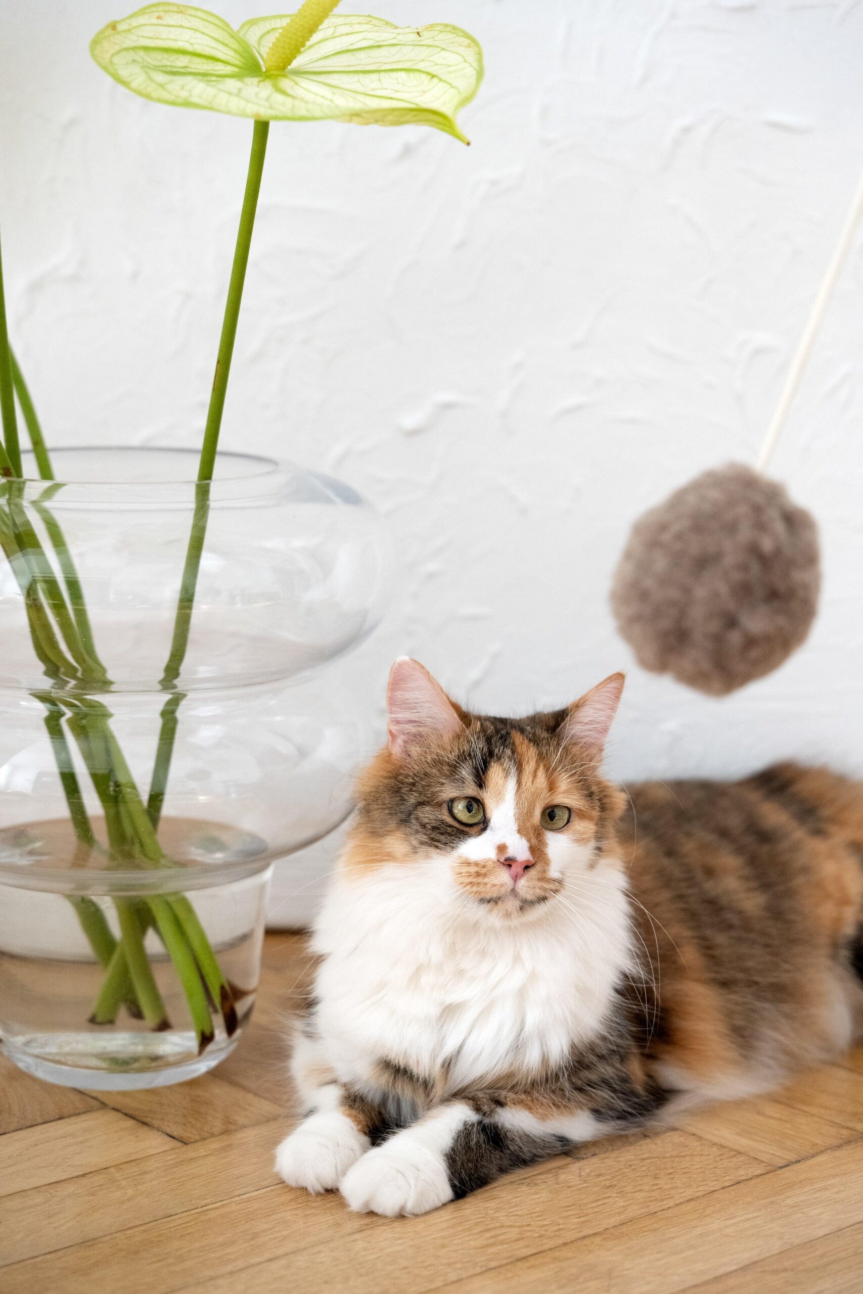 Mellow Pet Store Jouet pour chat en laine naturelle : Balle — photo 2