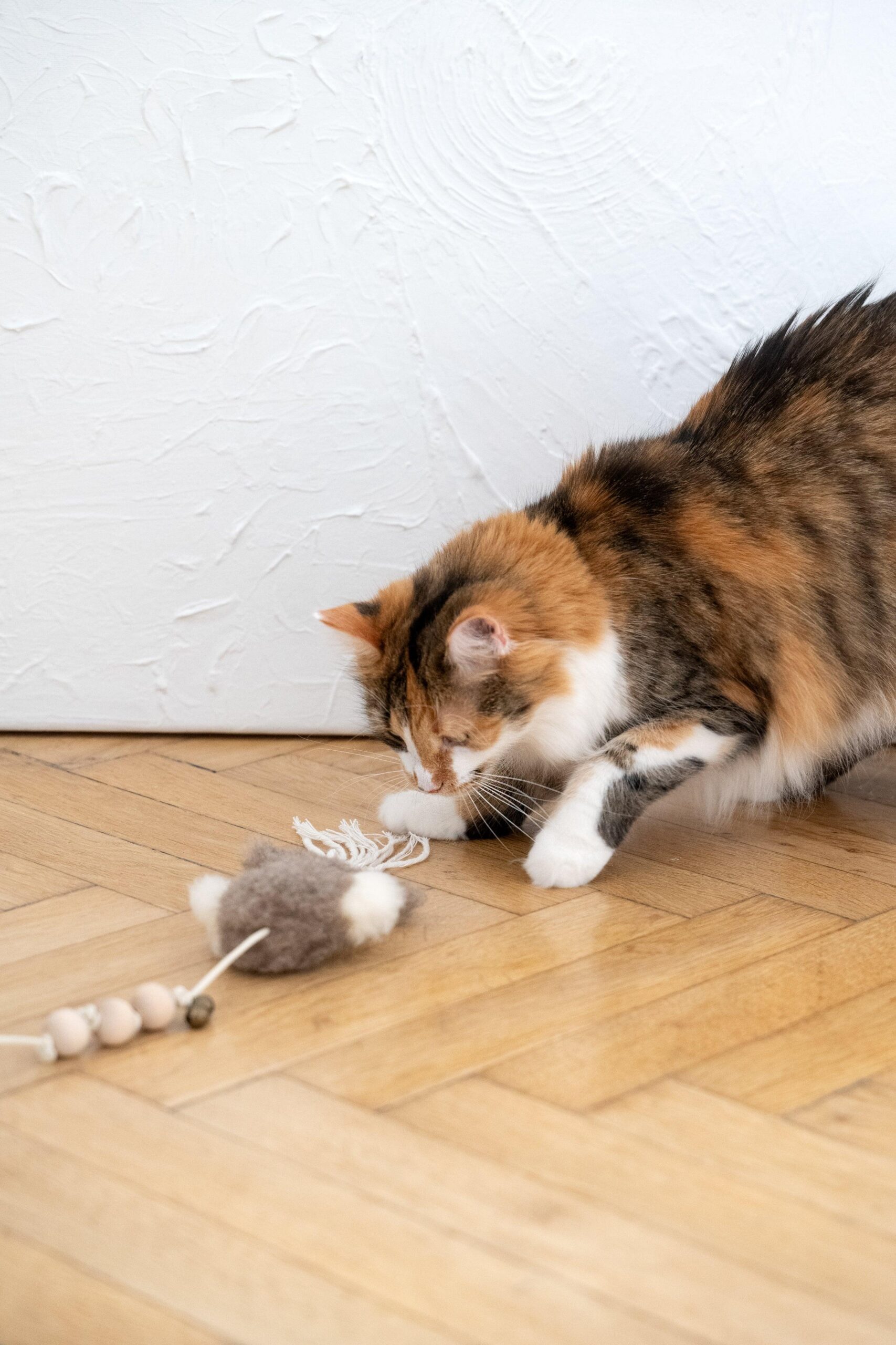 Mellow Pet Store Jouet pour chat en peau de mouton naturelle : Pieuvre — photo 4