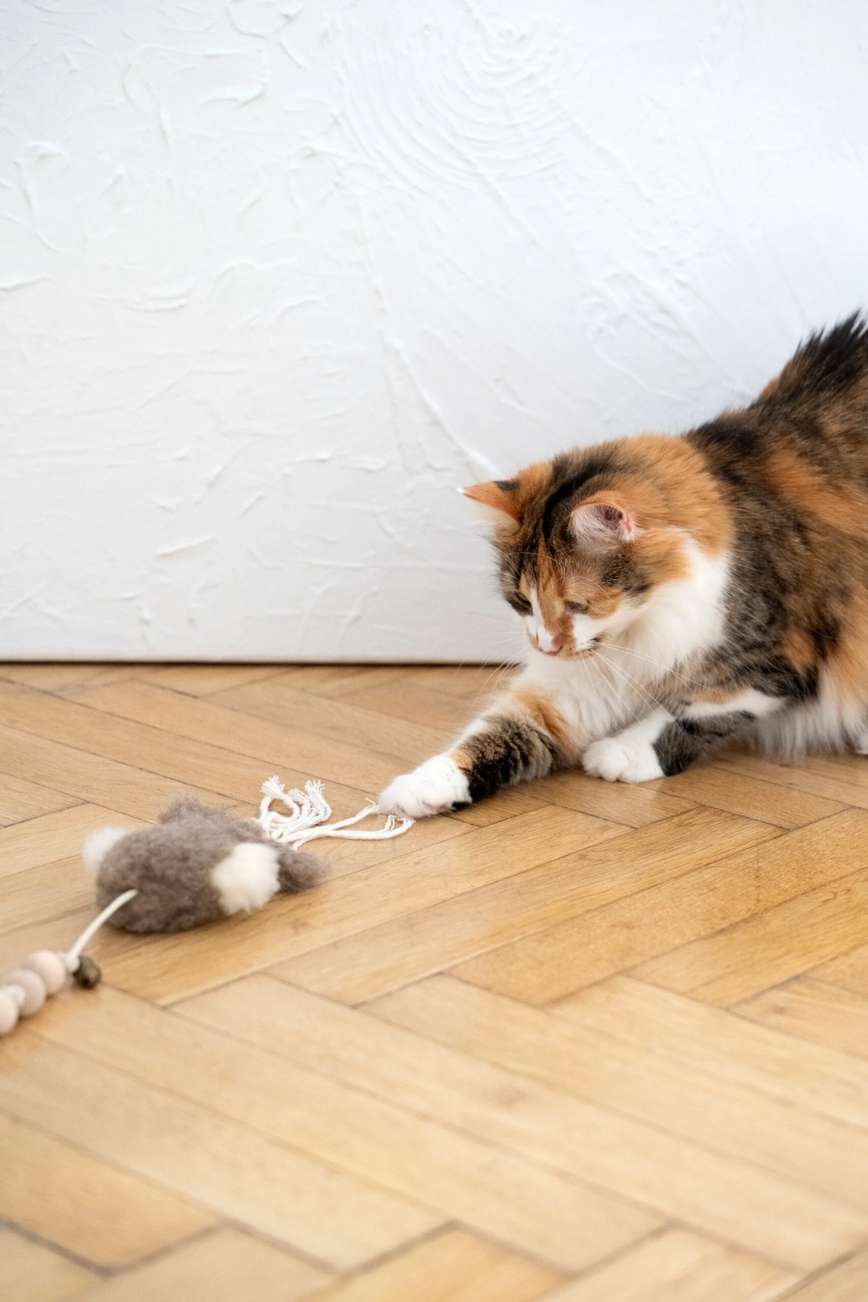 Mellow Pet Store Jouet pour chat en peau de mouton naturelle : Pieuvre — photo 3