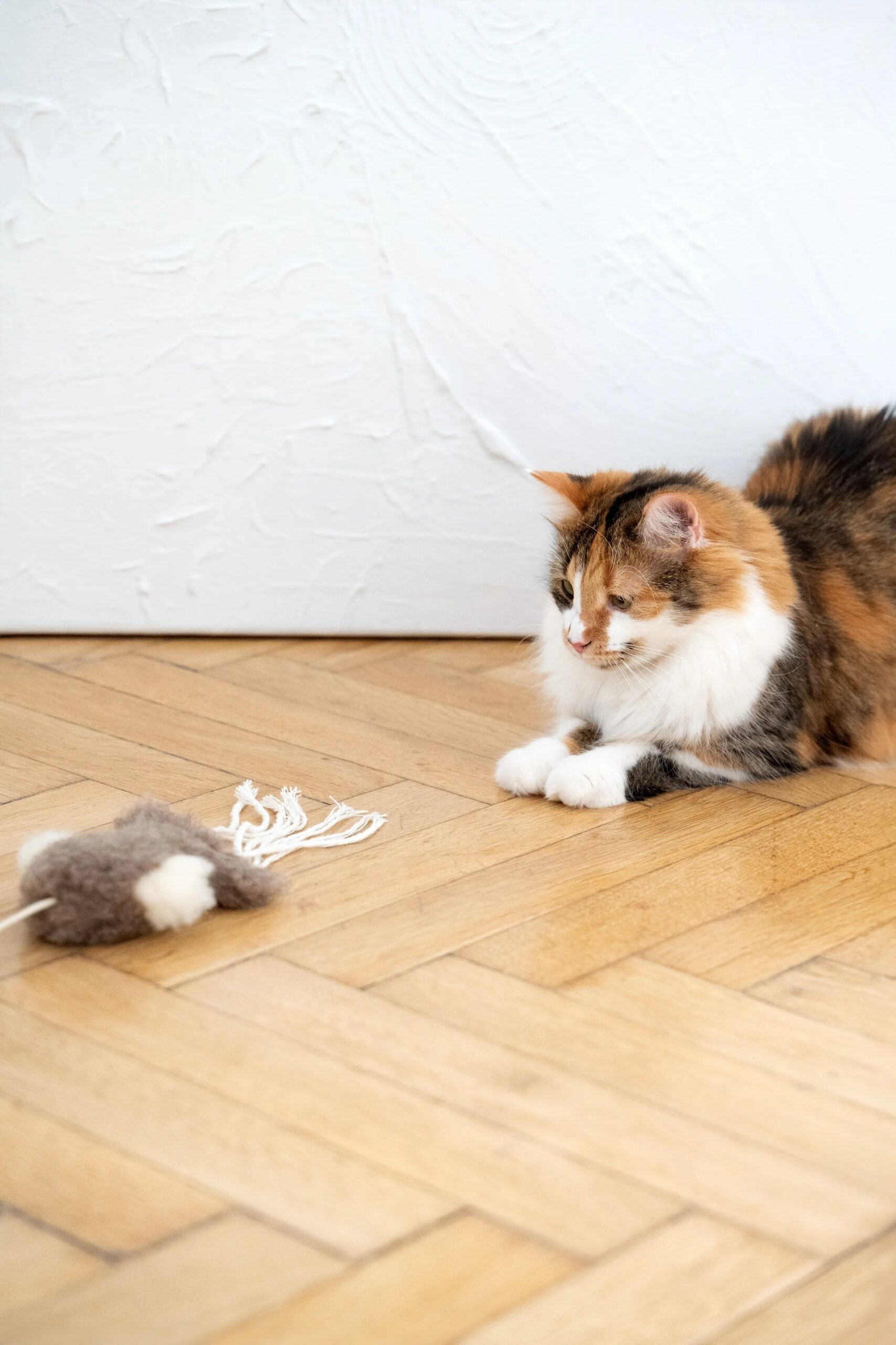 Mellow Pet Store Jouet pour chat en peau de mouton naturelle : Pieuvre — photo 5