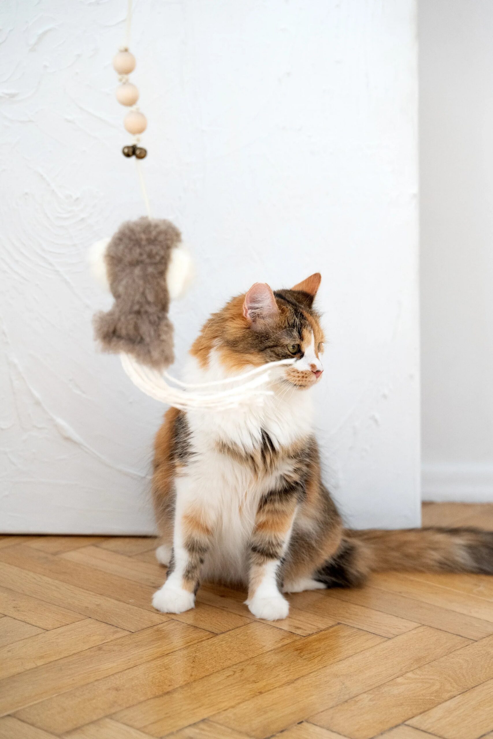 Mellow Pet Store Jouet pour chat en peau de mouton naturelle : Pieuvre — photo 2