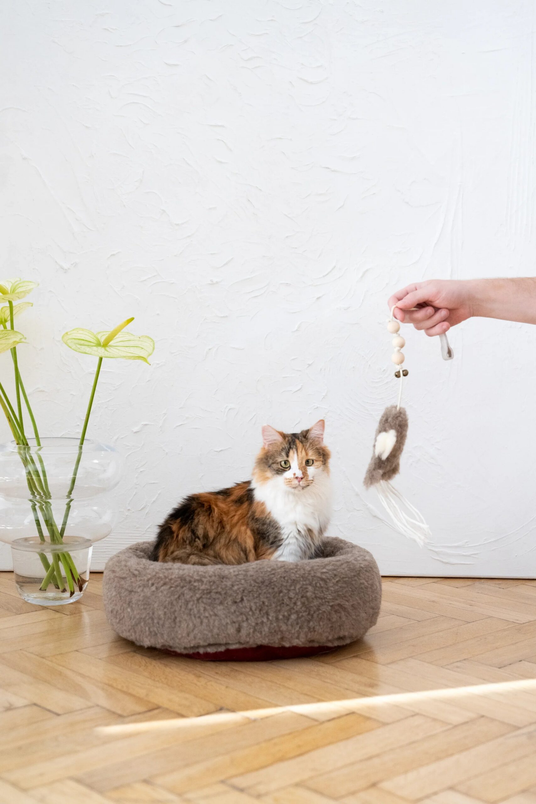 Mellow Pet Store Jouet pour chat en peau de mouton naturelle : Pieuvre — photo 6